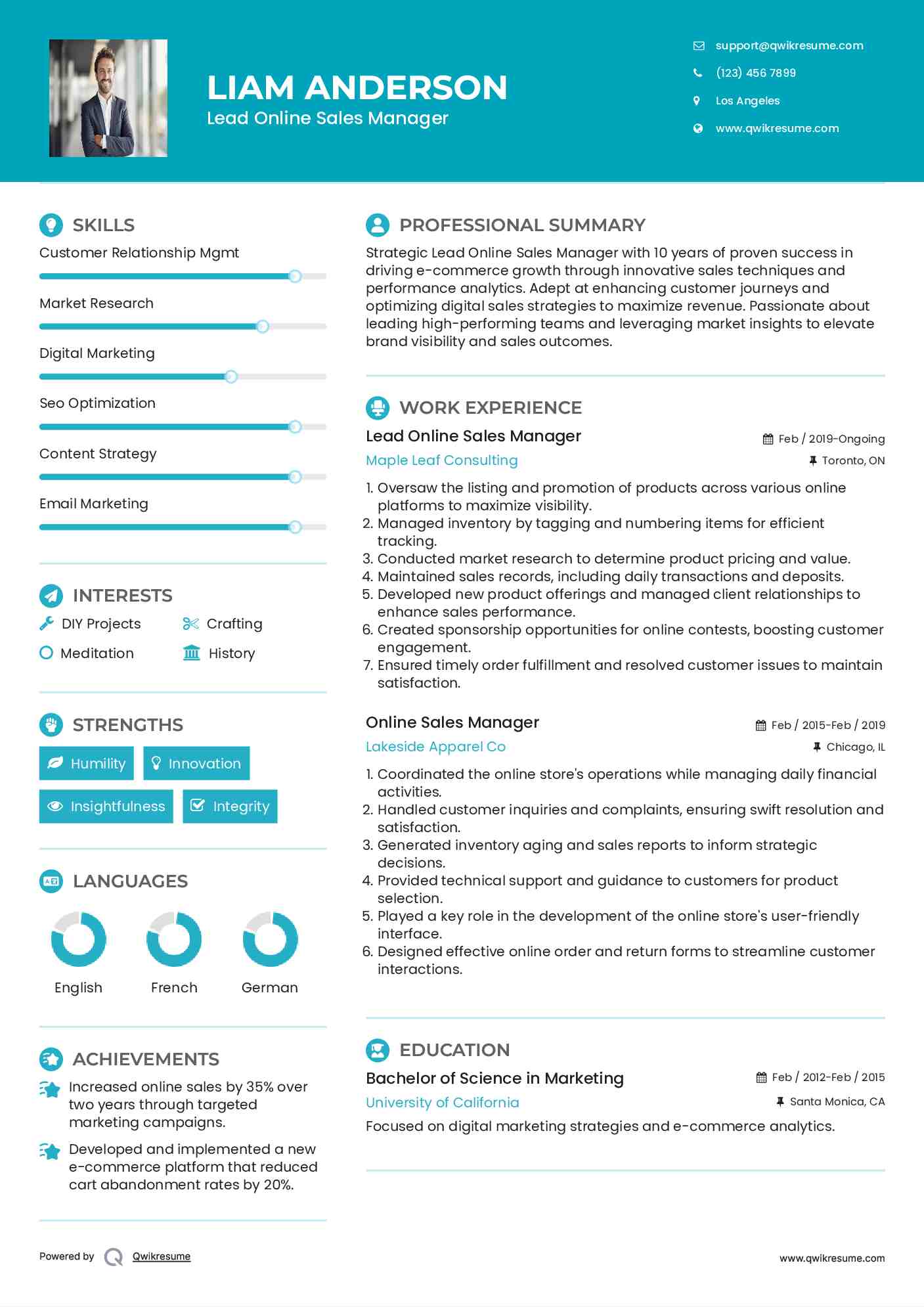 Lead Online Sales Manager Resume Example