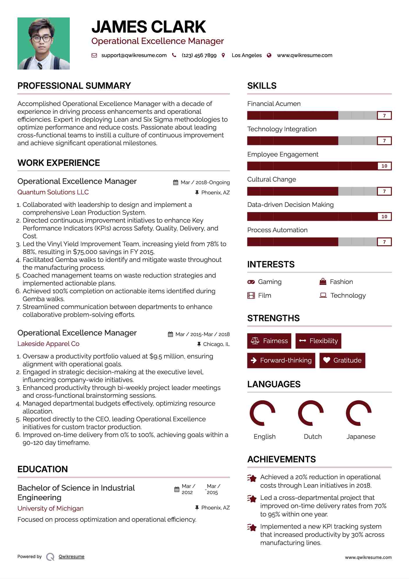 Operational Excellence Manager Resume Example