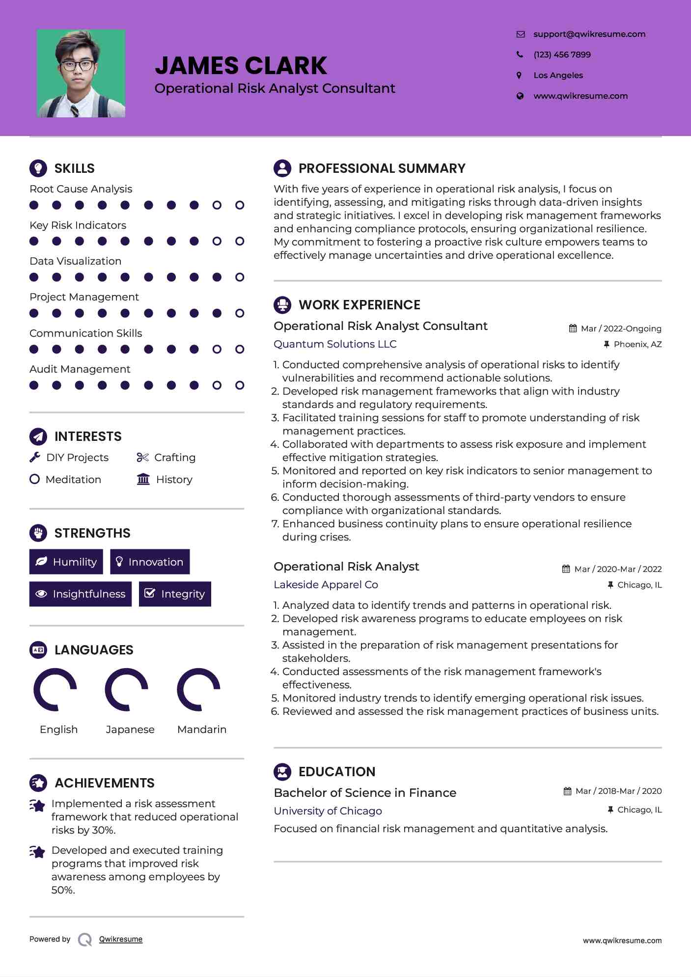 Operational Risk Analyst Consultant Resume Example