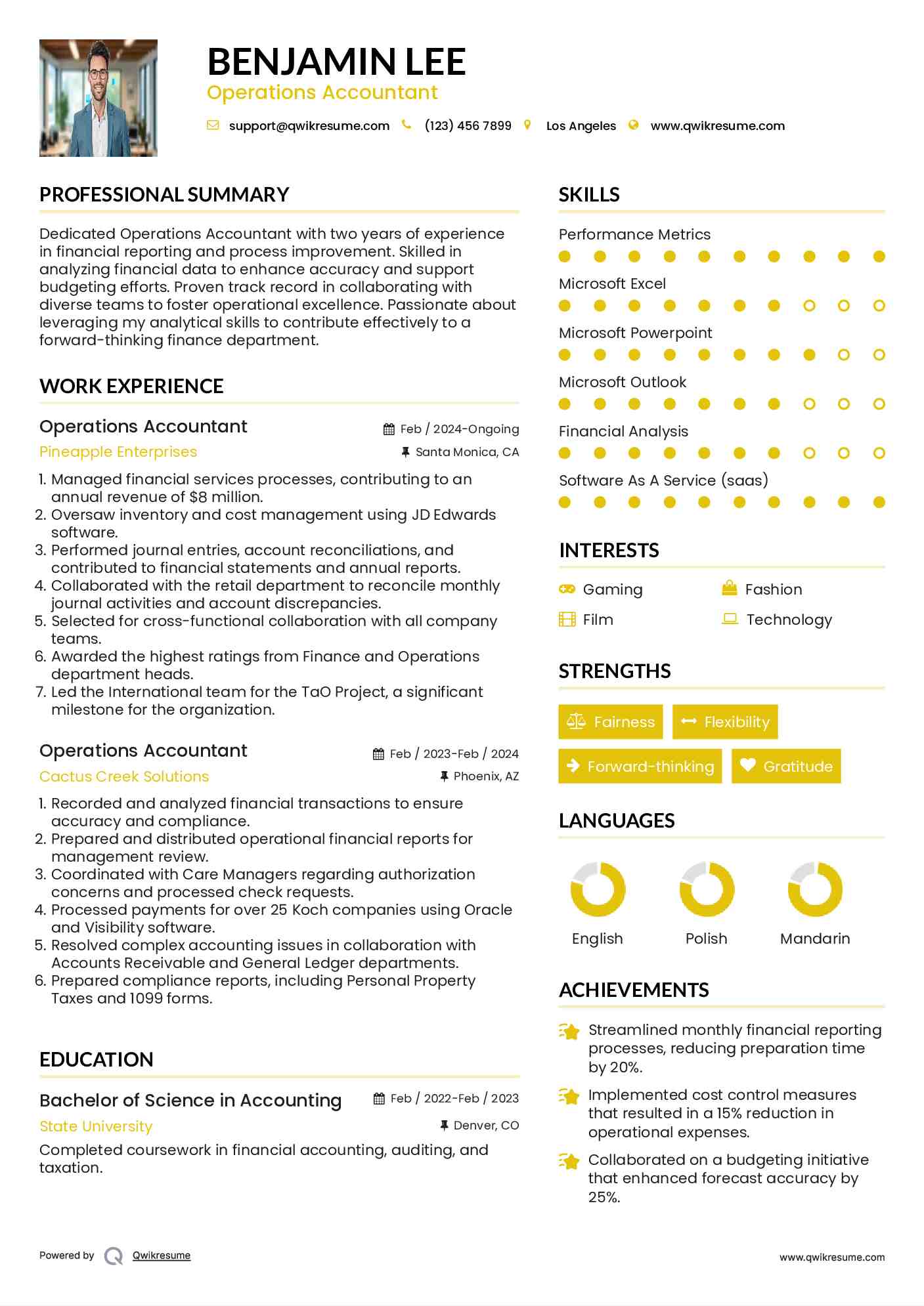 Operations Accountant Resume Example
