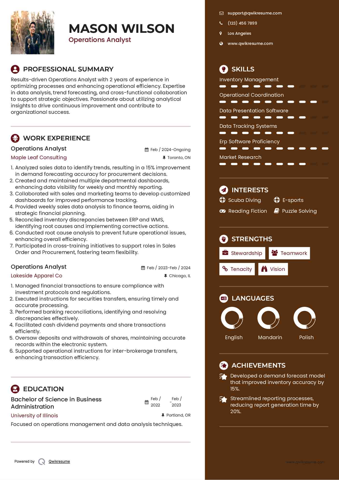 Operations Analyst Resume Example