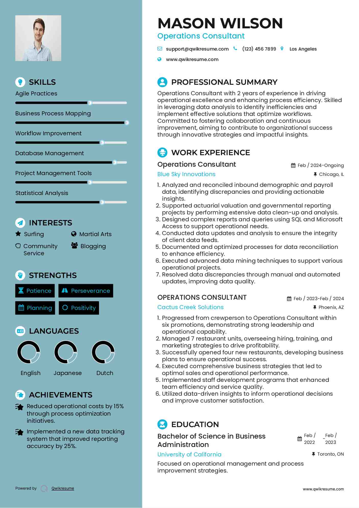 Operations Consultant Resume Example