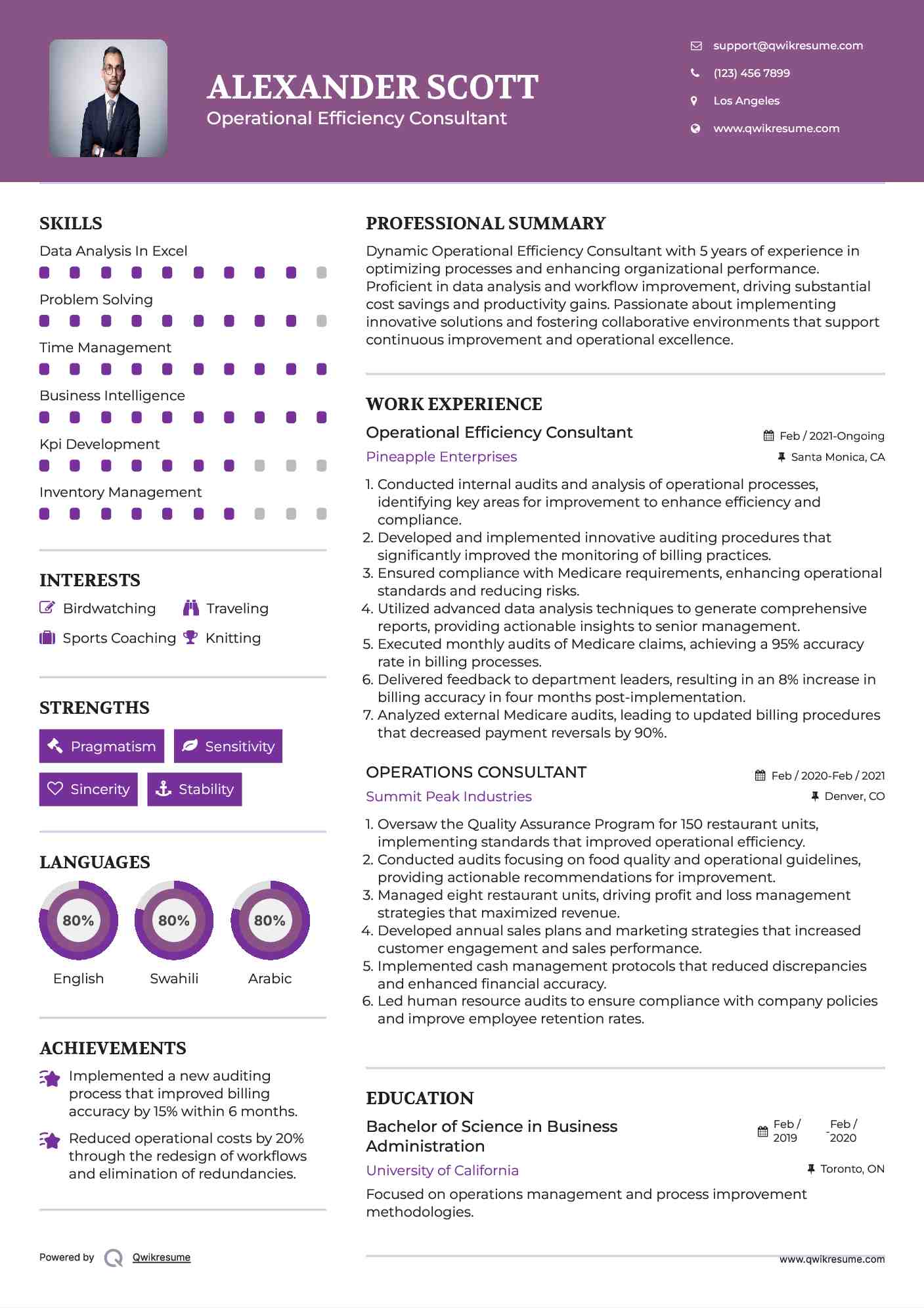 Operational Efficiency Consultant Resume Example