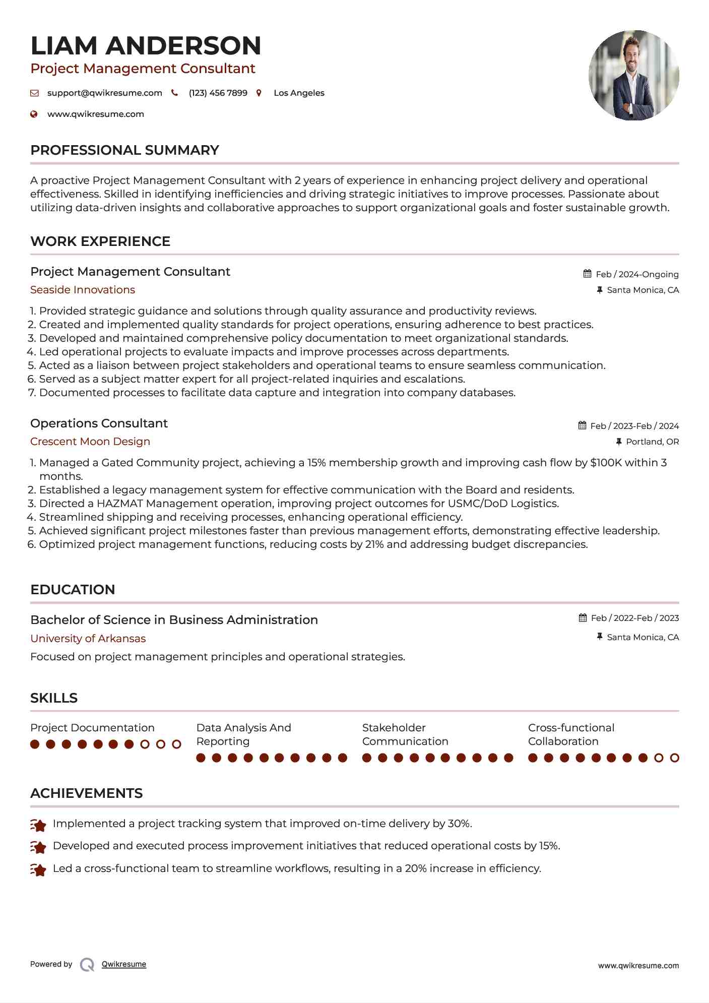 Project Management Consultant Resume Example