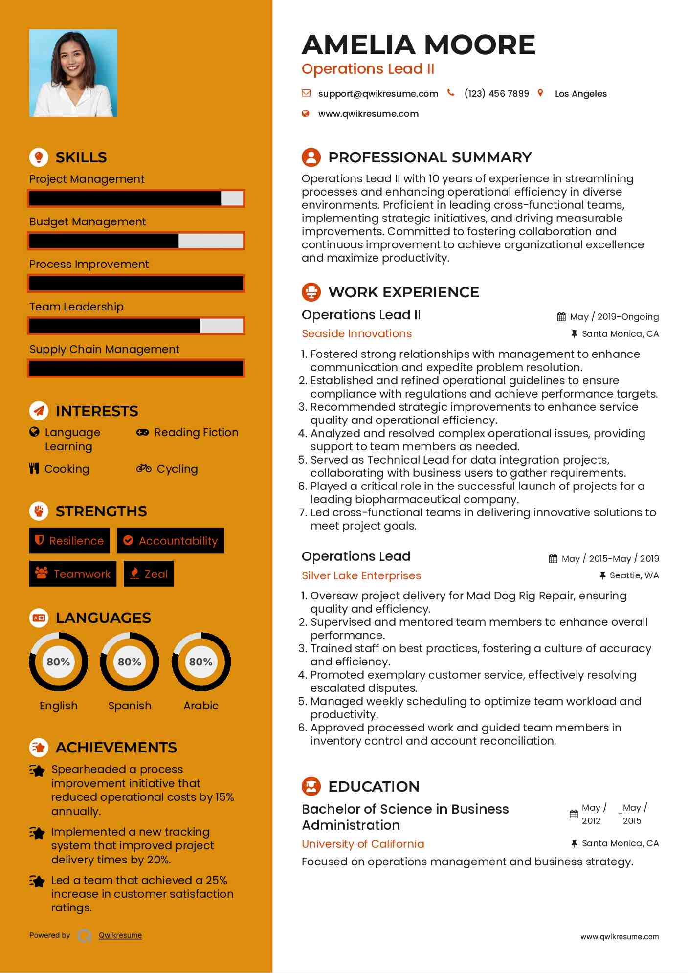 Operations Lead II Resume Sample