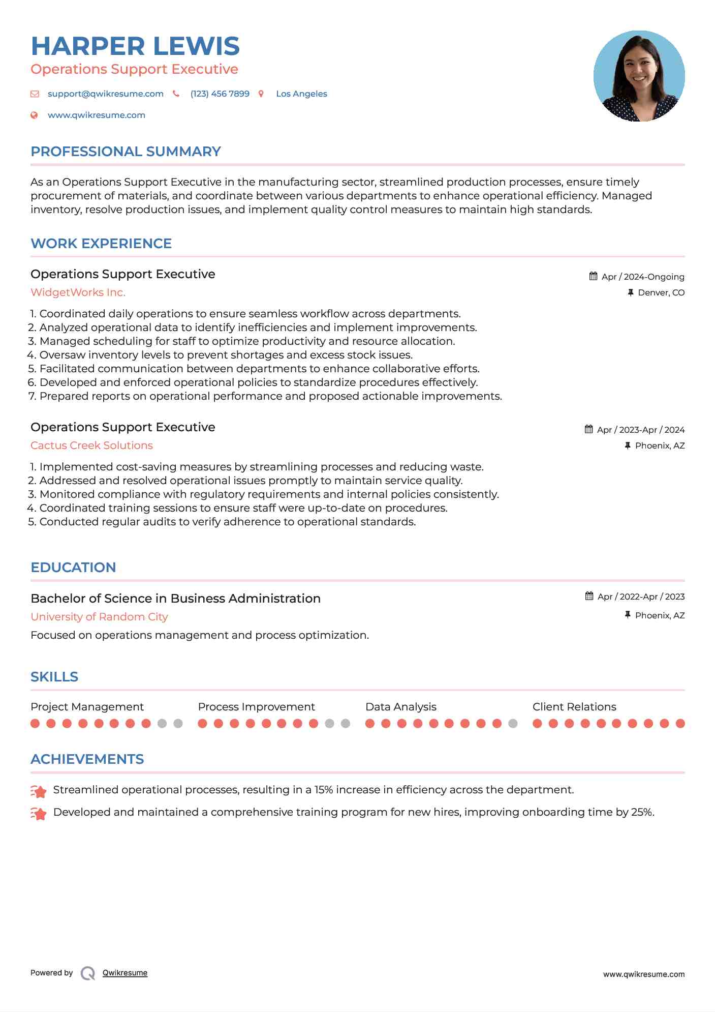 Operations Support Executive Resume Sample