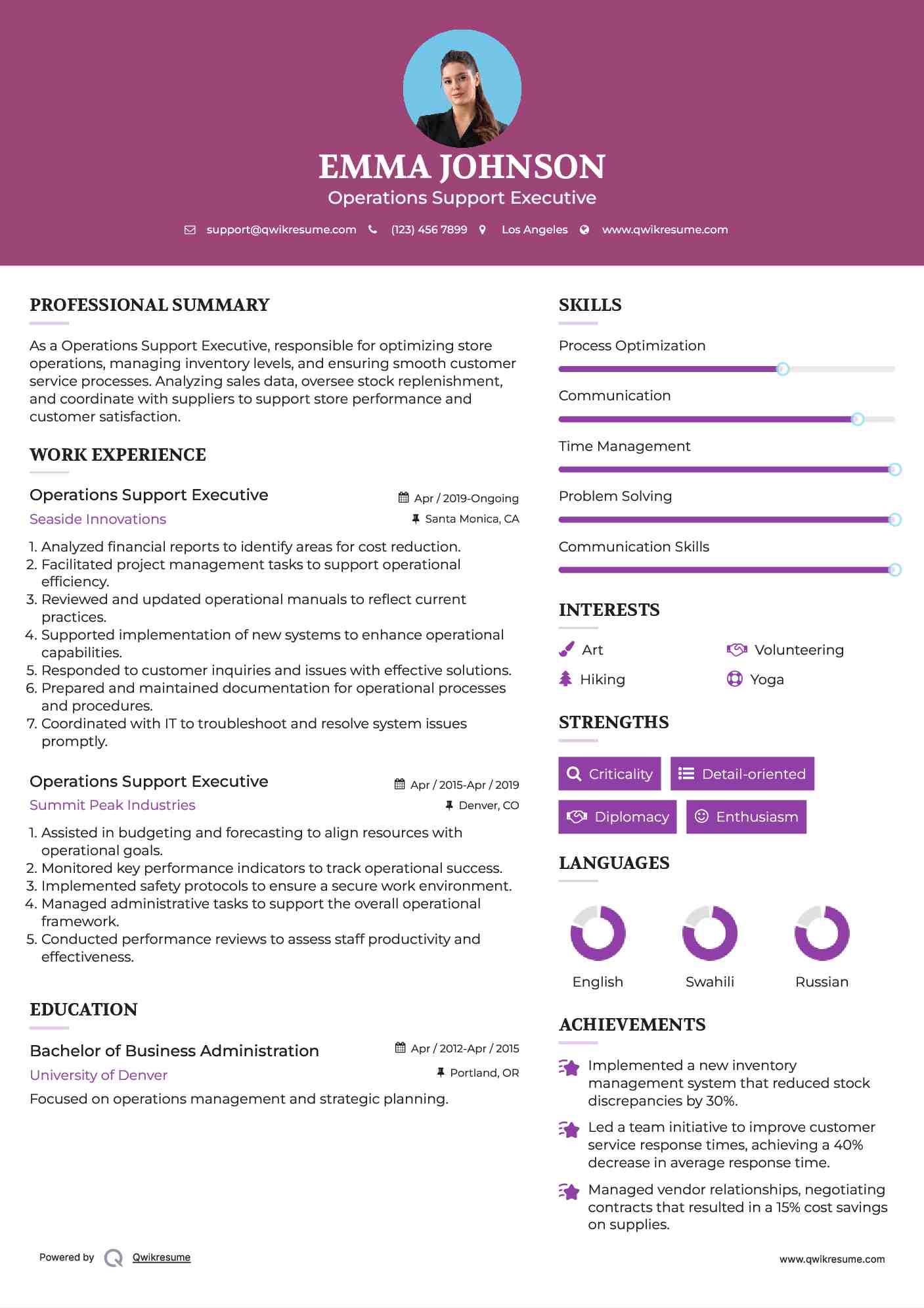 Operations Support Executive Resume Example