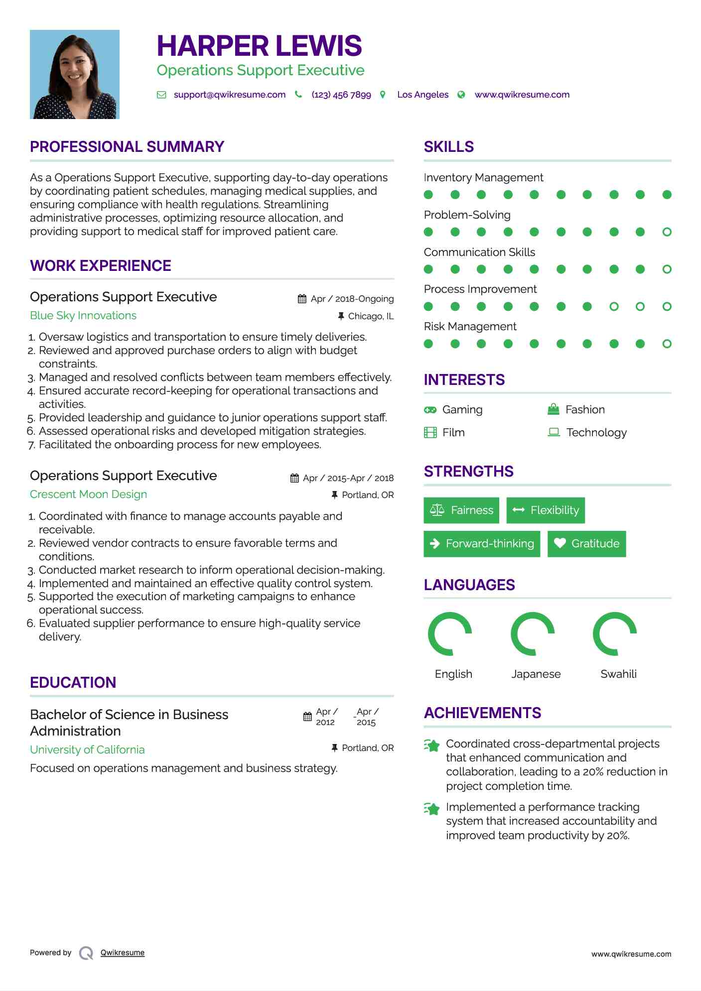 Operations Support Executive Resume Format
