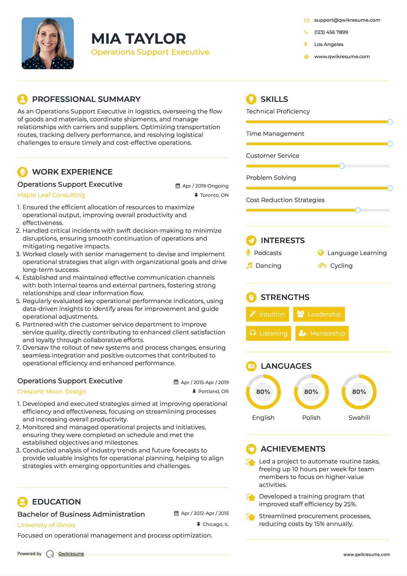 Operations Support Executive Resume Model