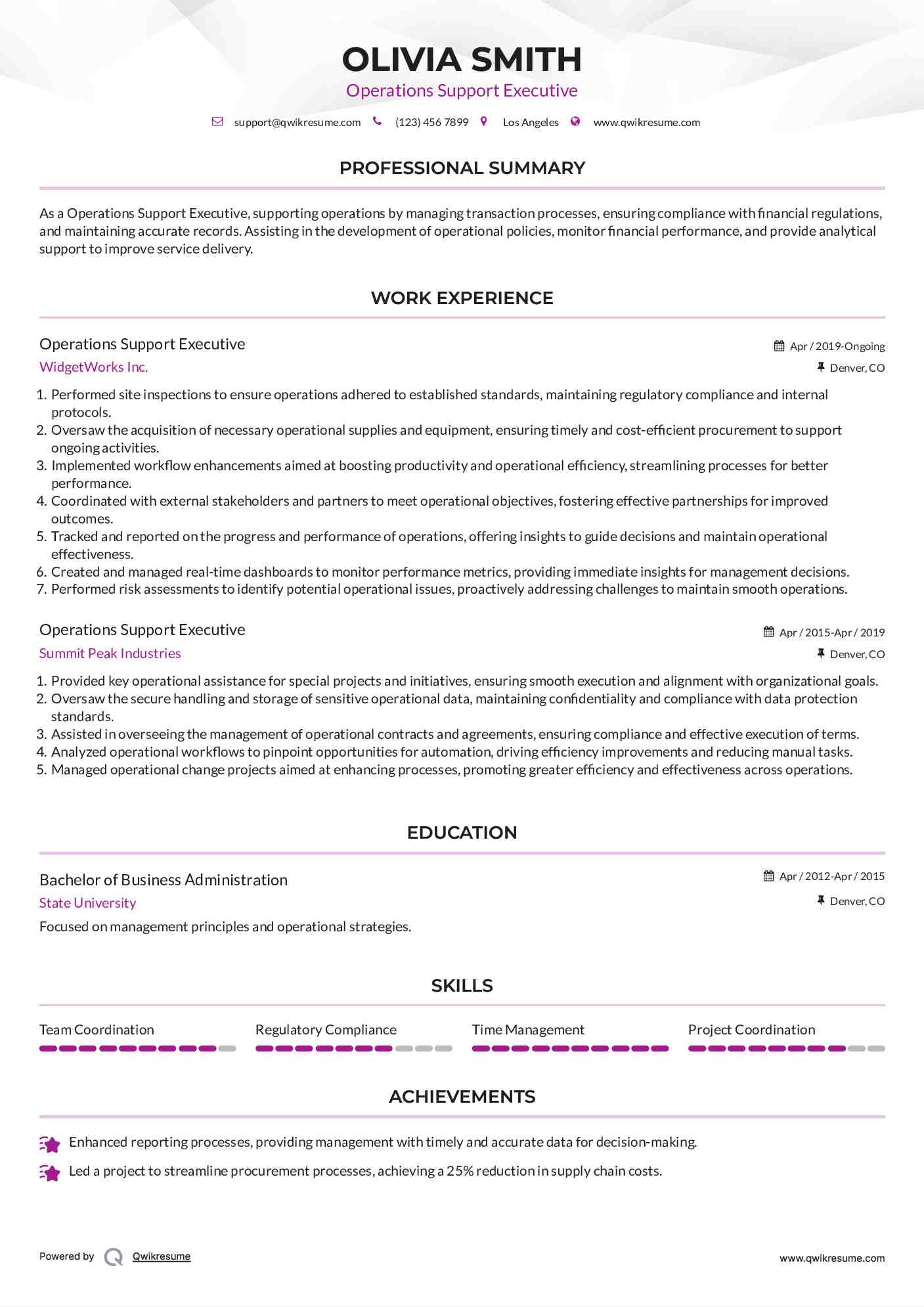 Operations Support Executive Resume Template