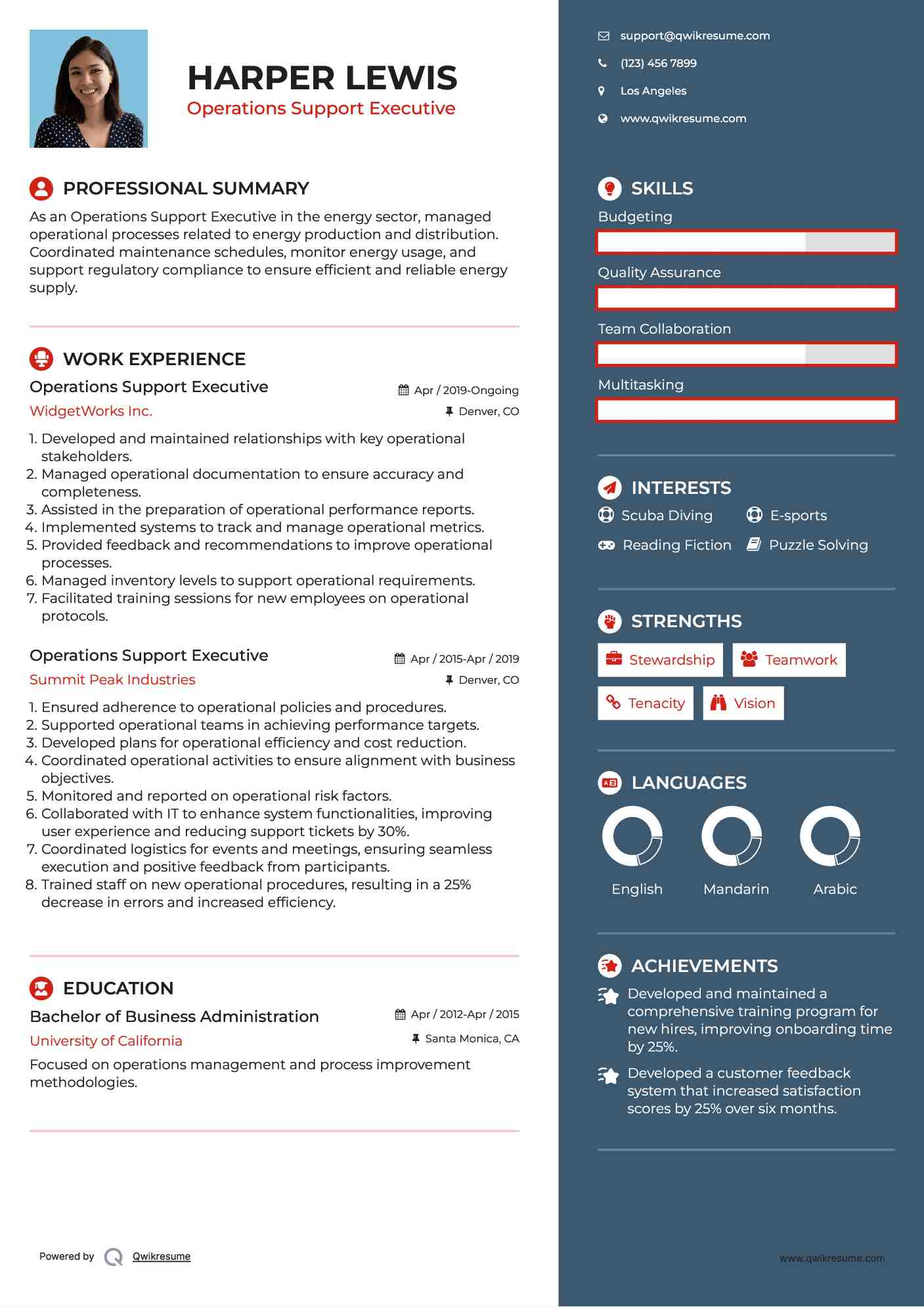 Operations Support Executive Resume Model