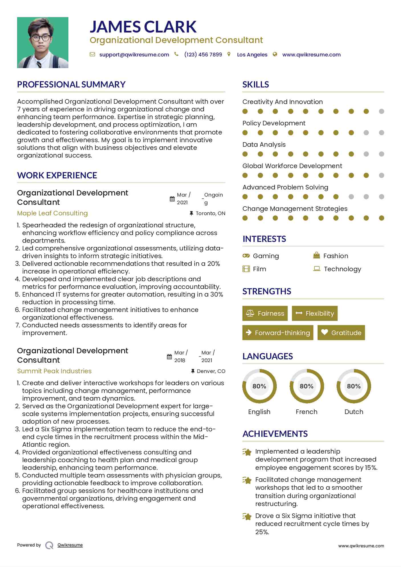 Organizational Development Consultant Resume Model
