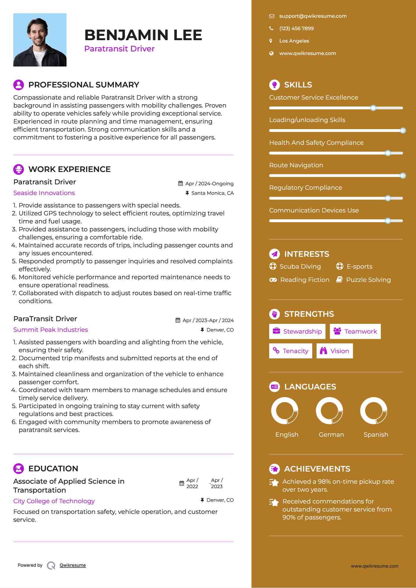 Paratransit Driver Resume Template