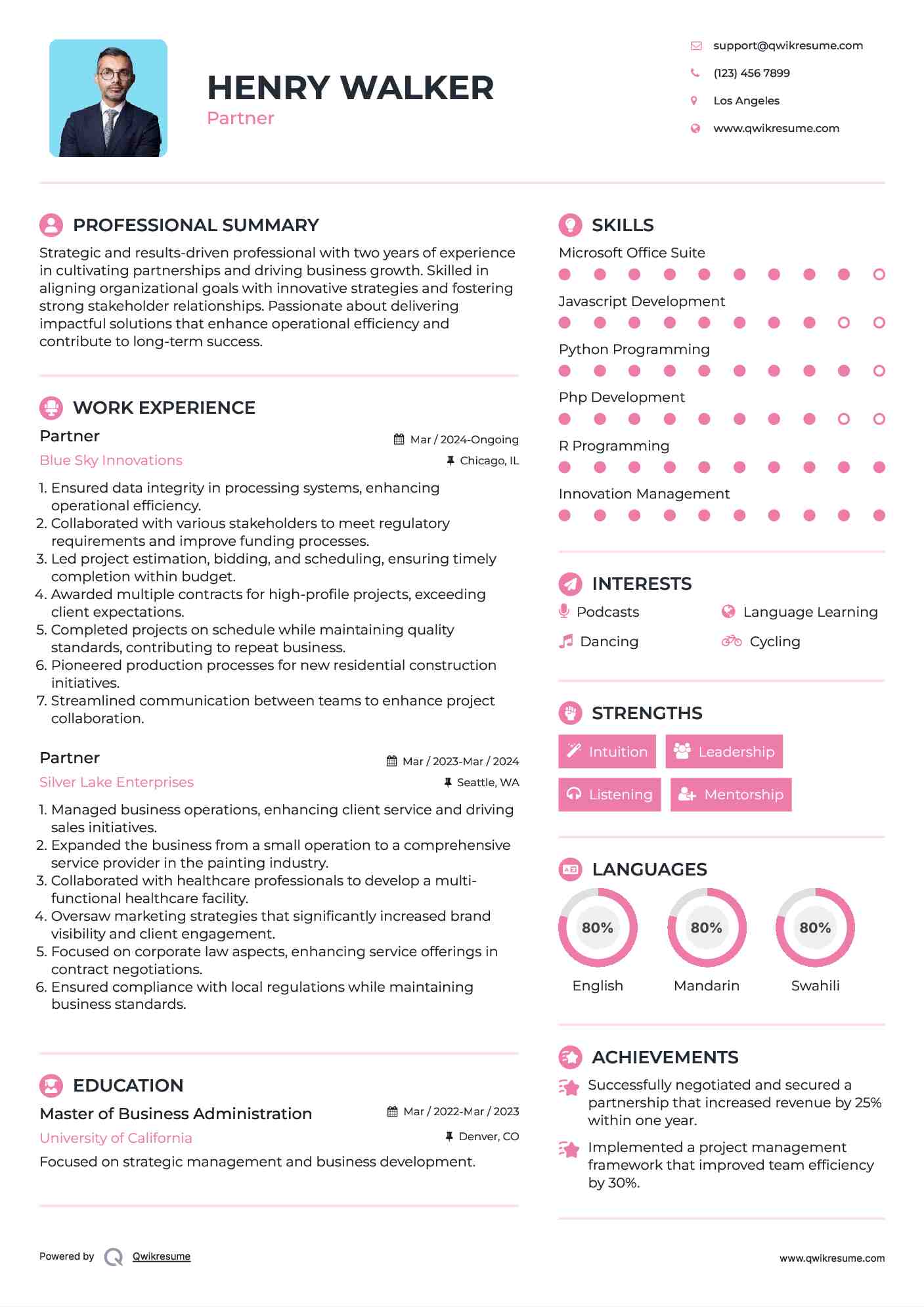 Partner Resume Sample