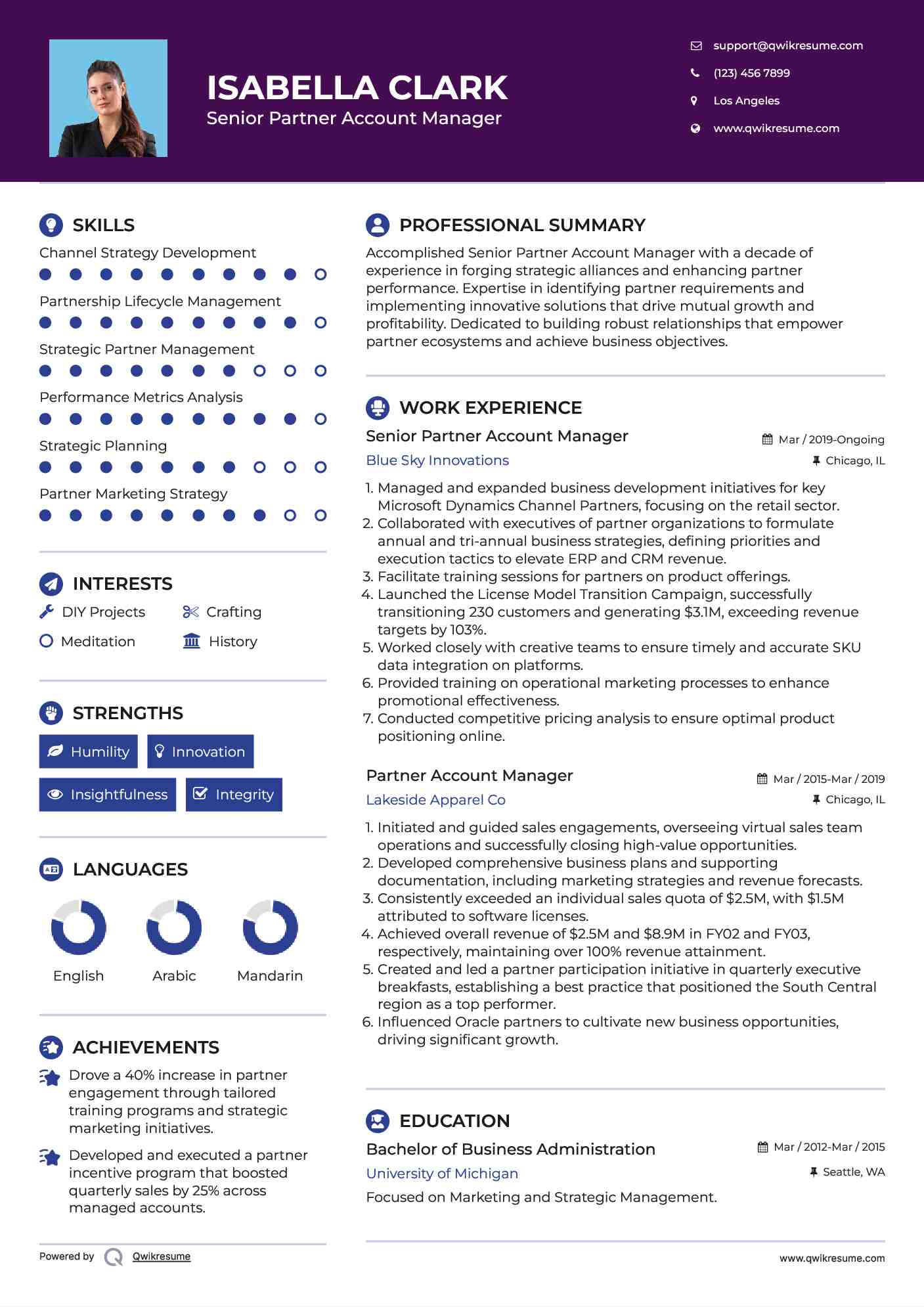 Senior Partner Account Manager Resume Template