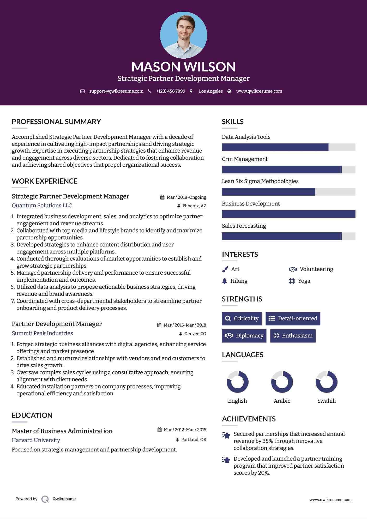 Strategic Partner Development Manager Resume Model