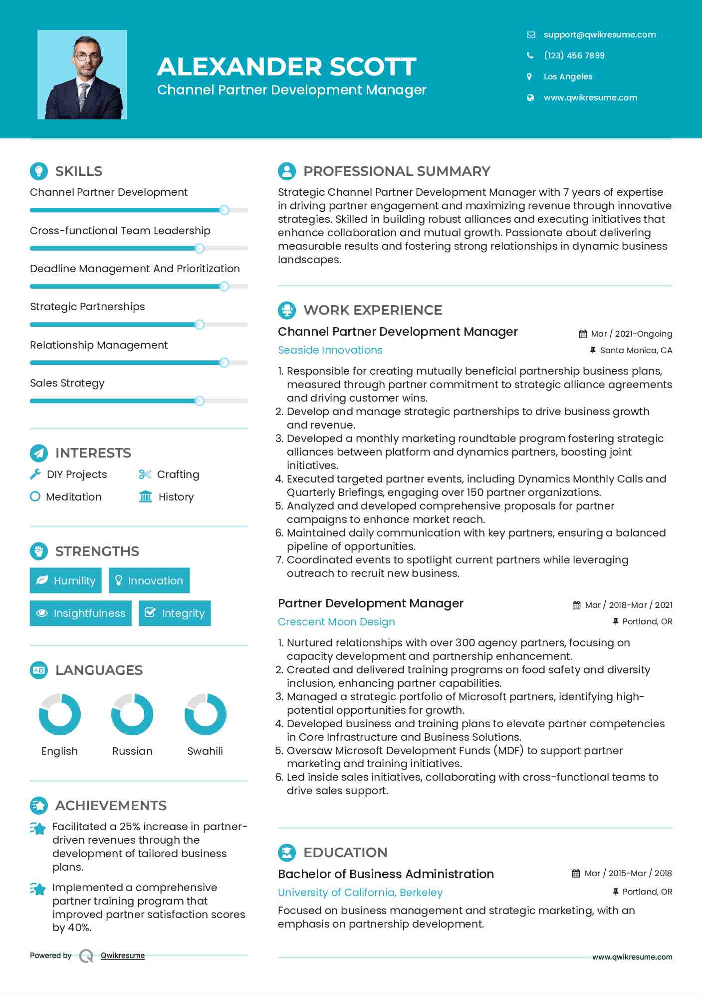 Channel Partner Development Manager Resume Sample