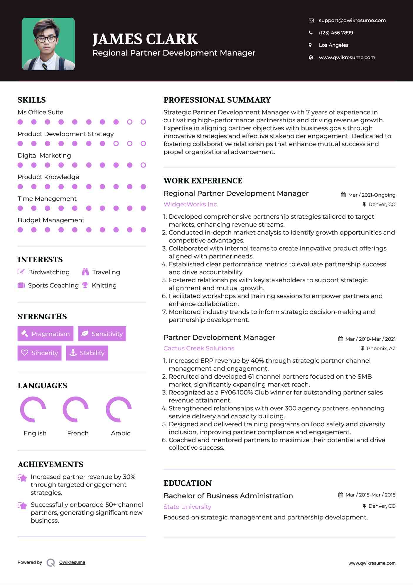 Regional Partner Development Manager Resume Template