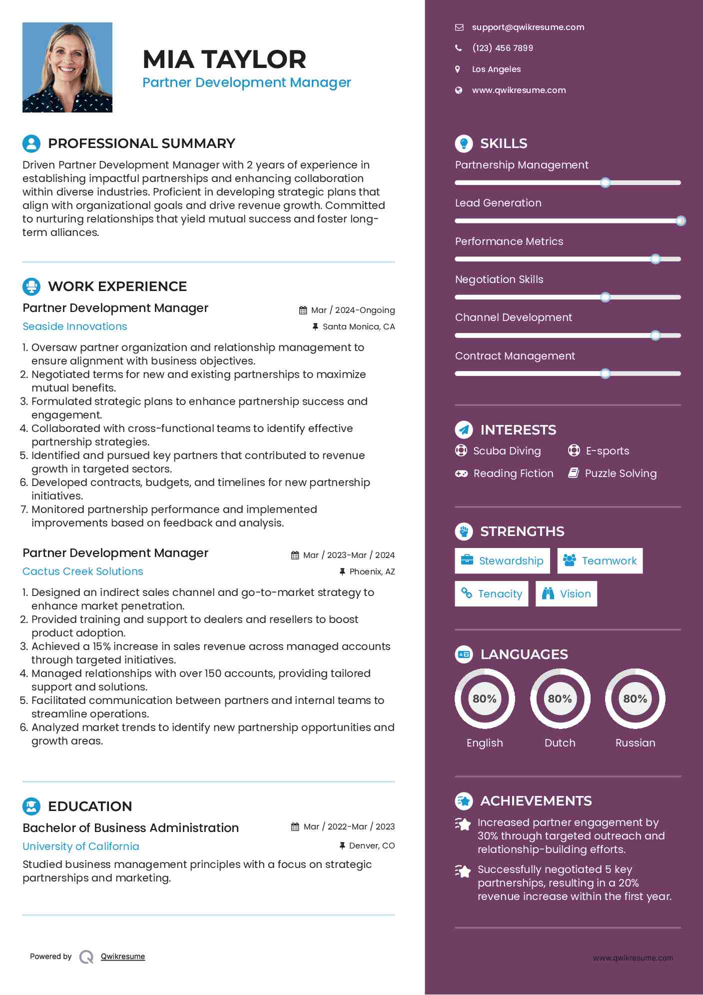 Partner Development Manager Resume Template