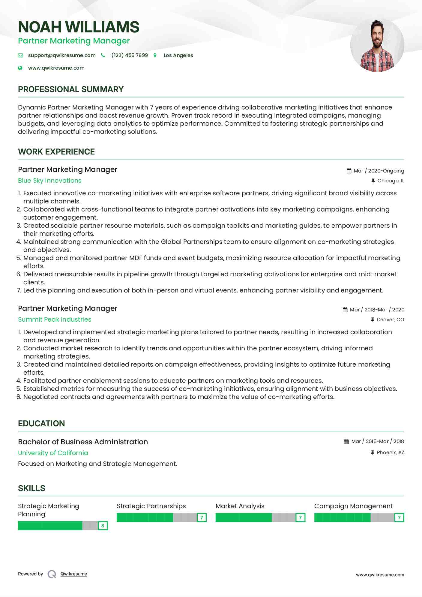 Partner Marketing Manager Resume Model