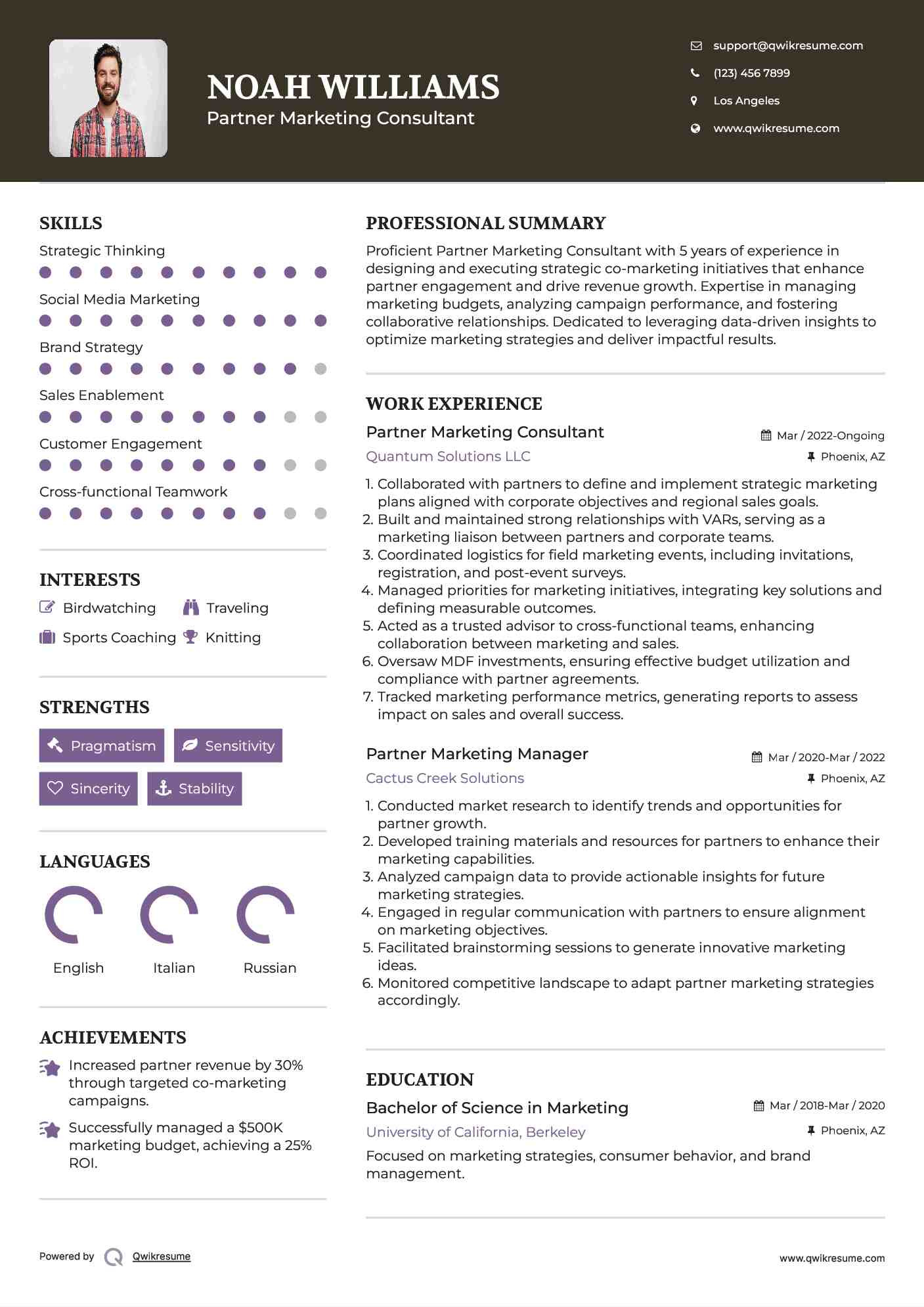 Partner Marketing Consultant Resume Example