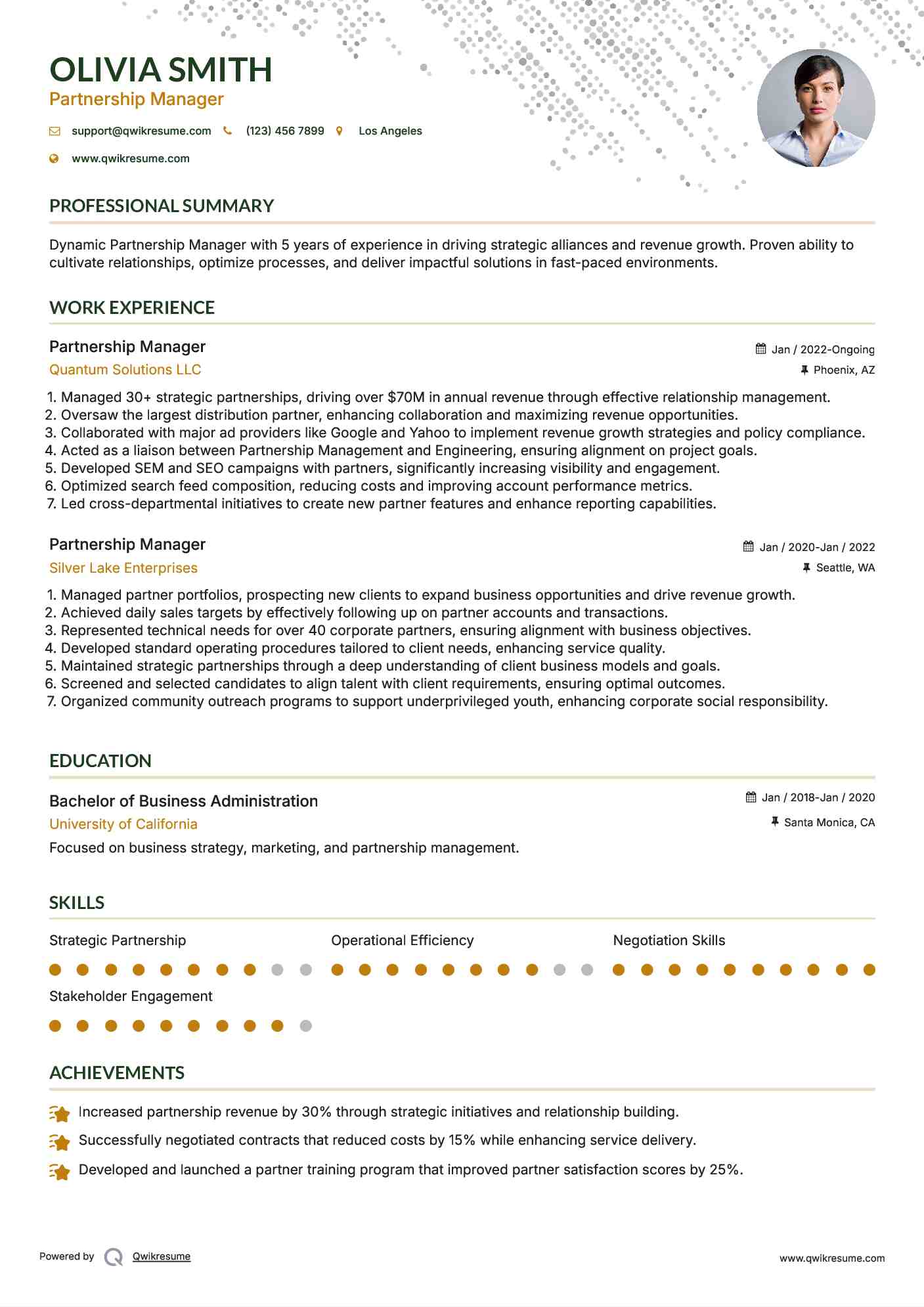 Partnership Manager Resume Sample