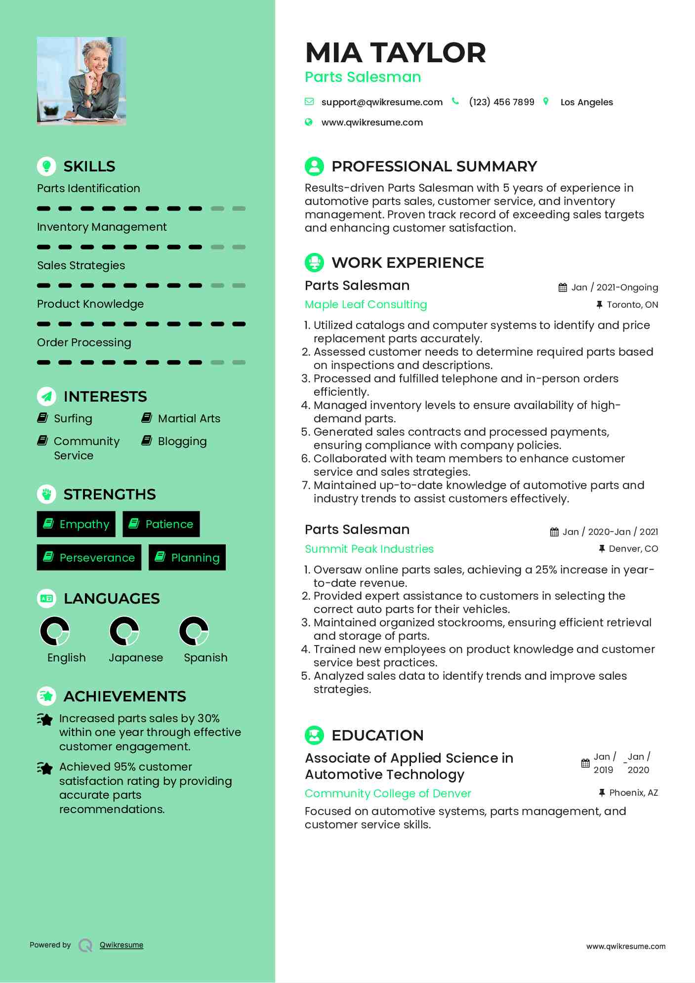 Parts Salesman Resume Example