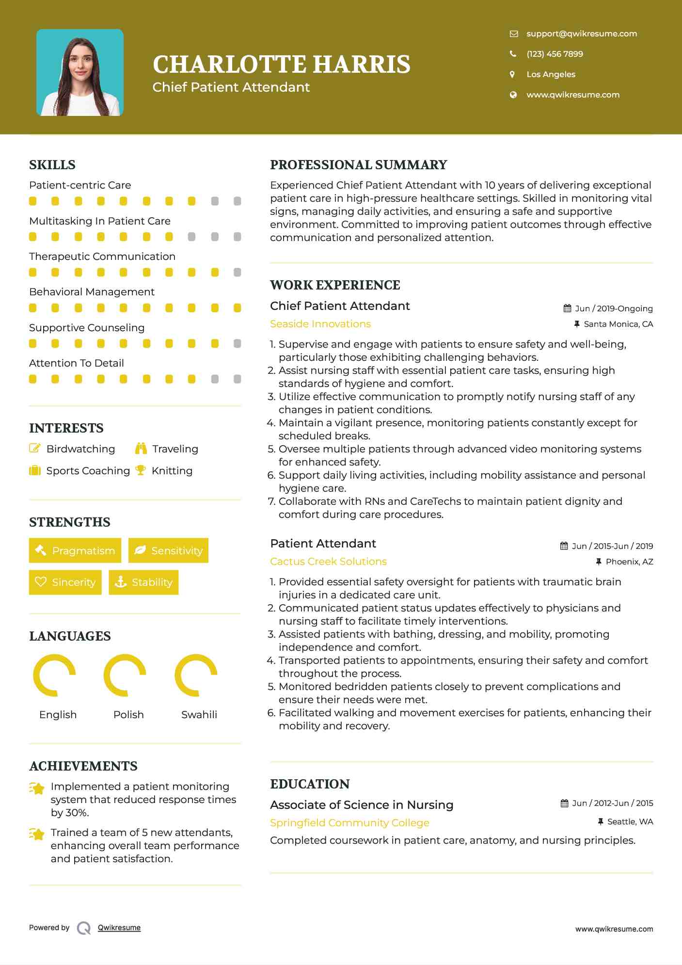 Chief Patient Attendant Resume Example