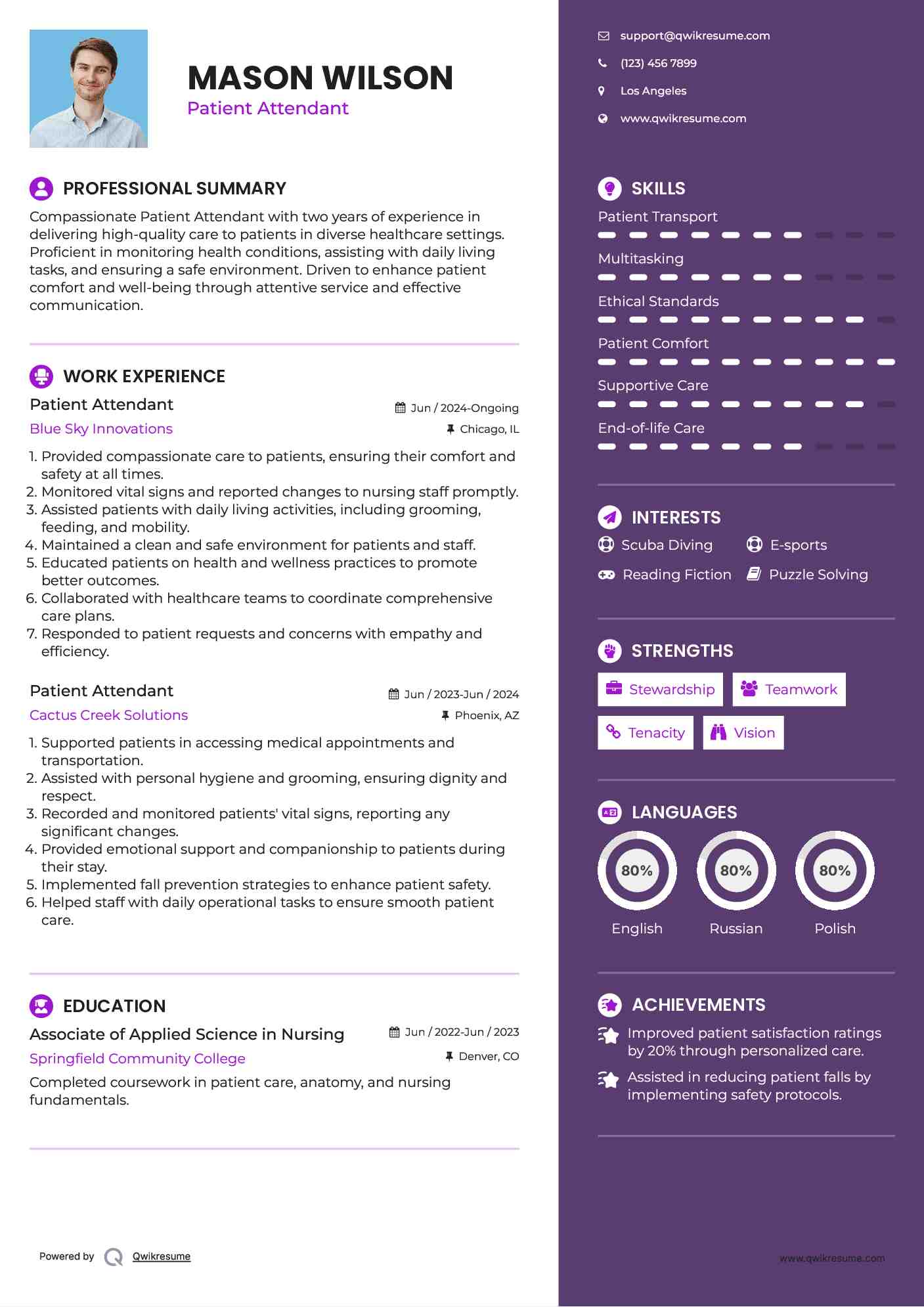 Patient Attendant Resume Example
