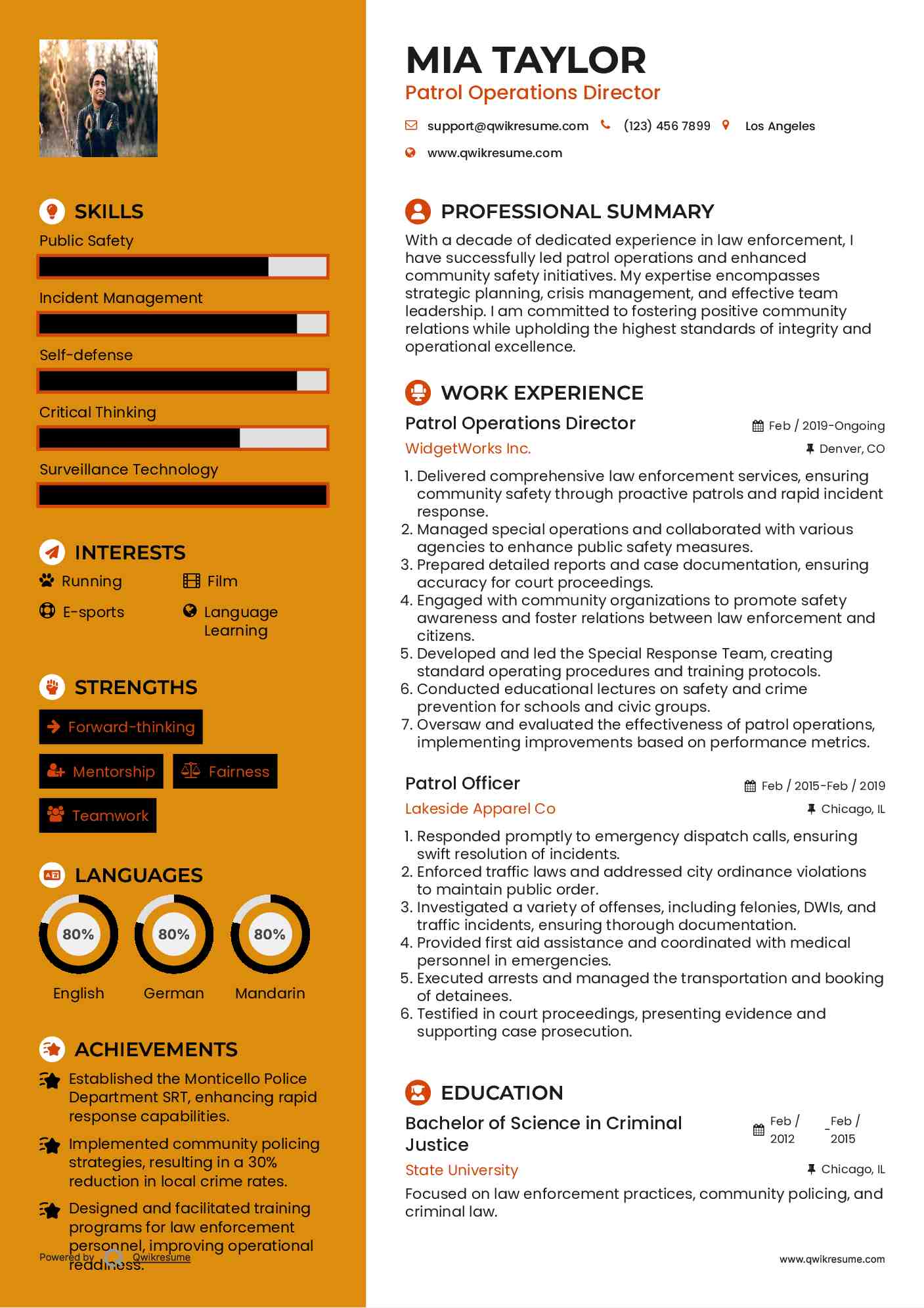 Patrol Operations Director Resume Template