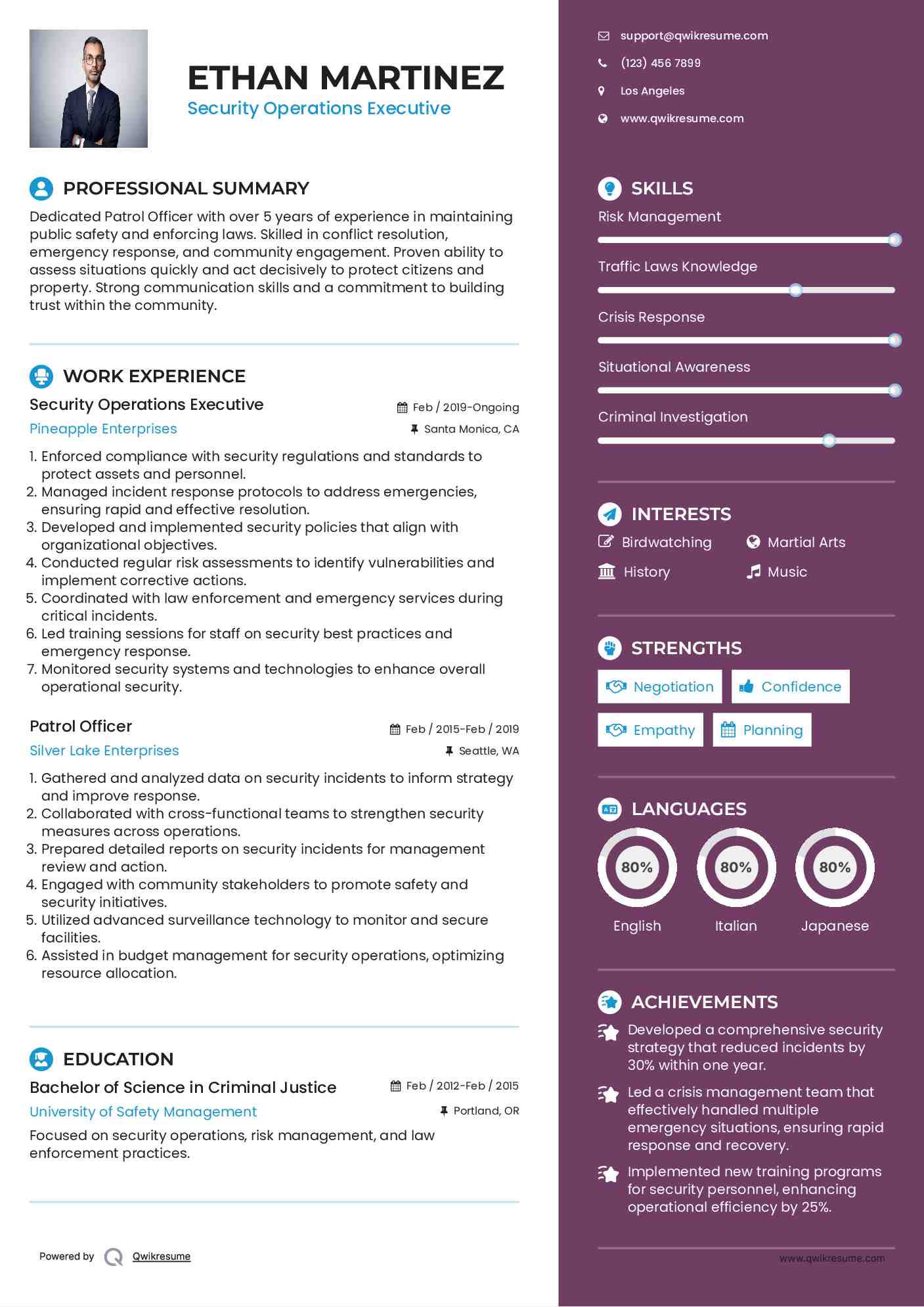 Security Operations Executive Resume Model