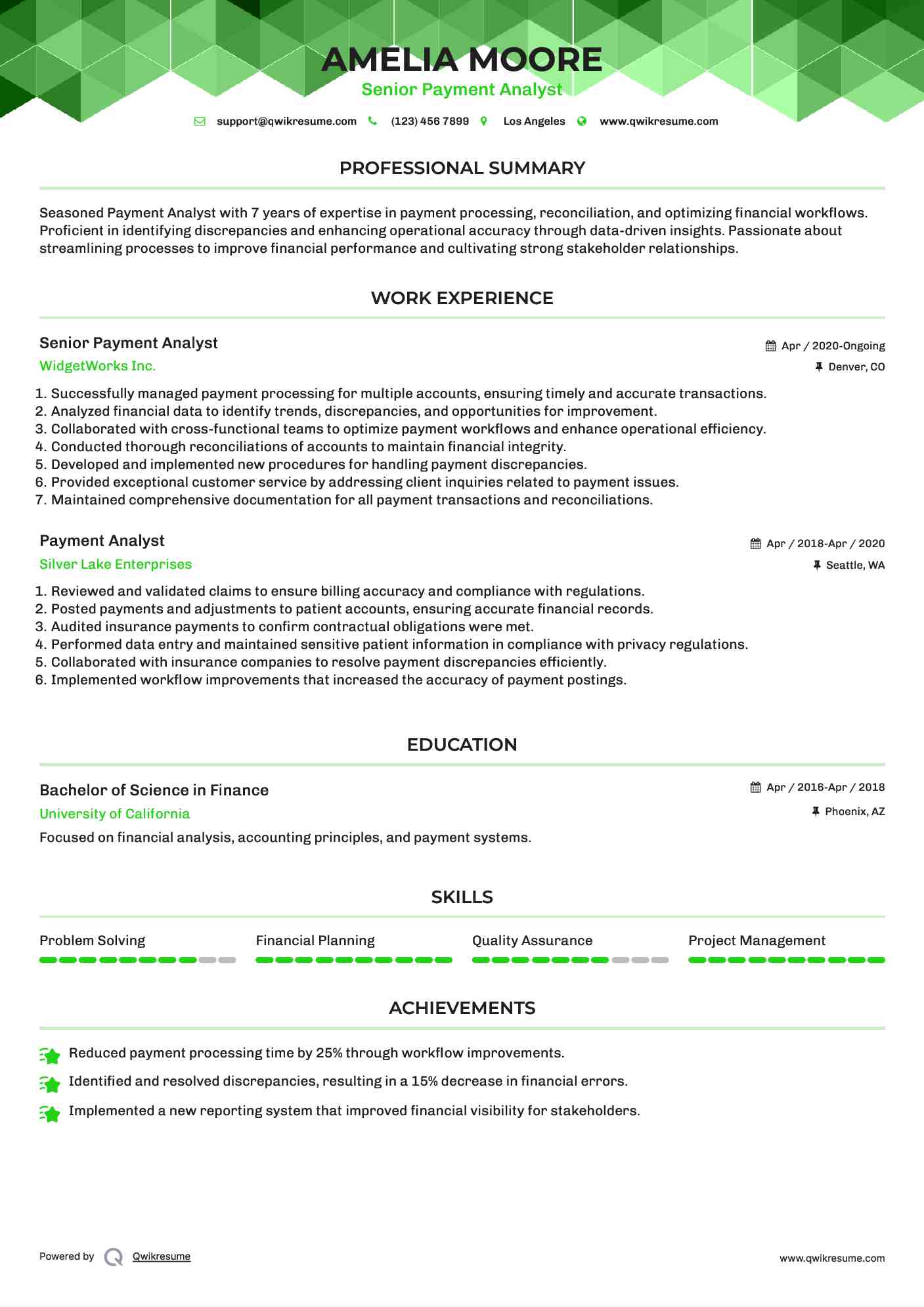 Senior Payment Analyst  Resume Model