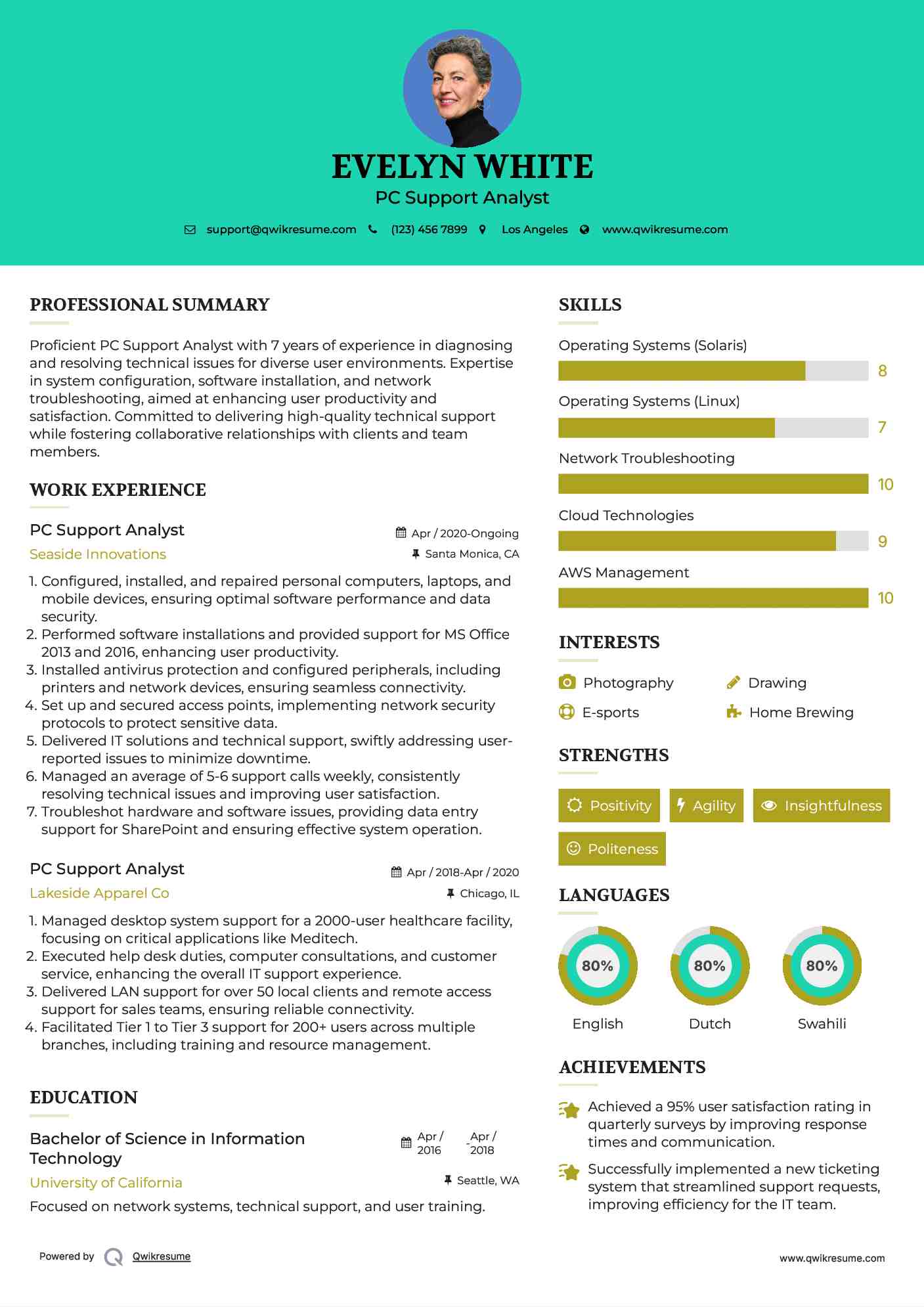 PC Support Analyst Resume Model