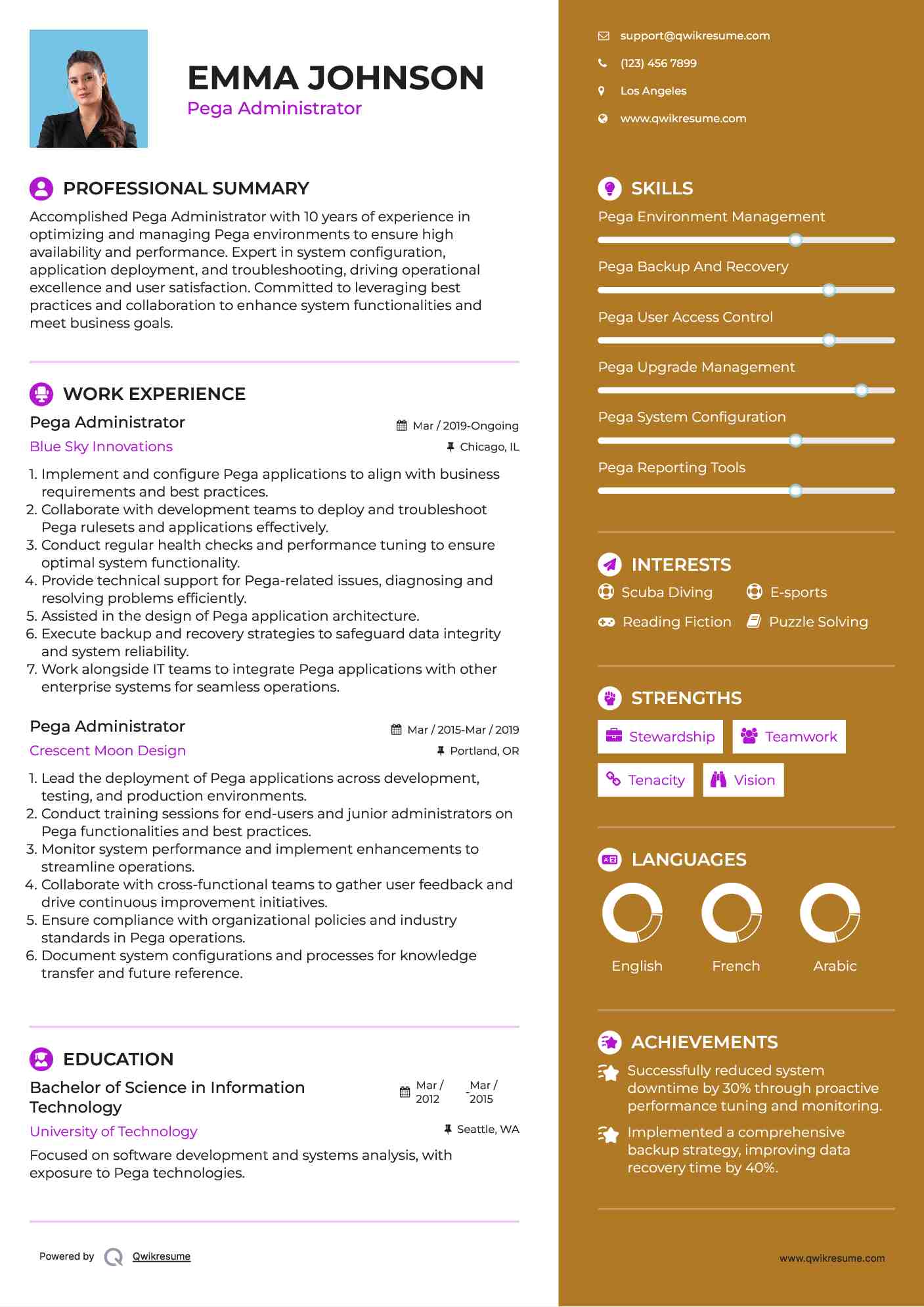 Pega Administrator Resume Format
