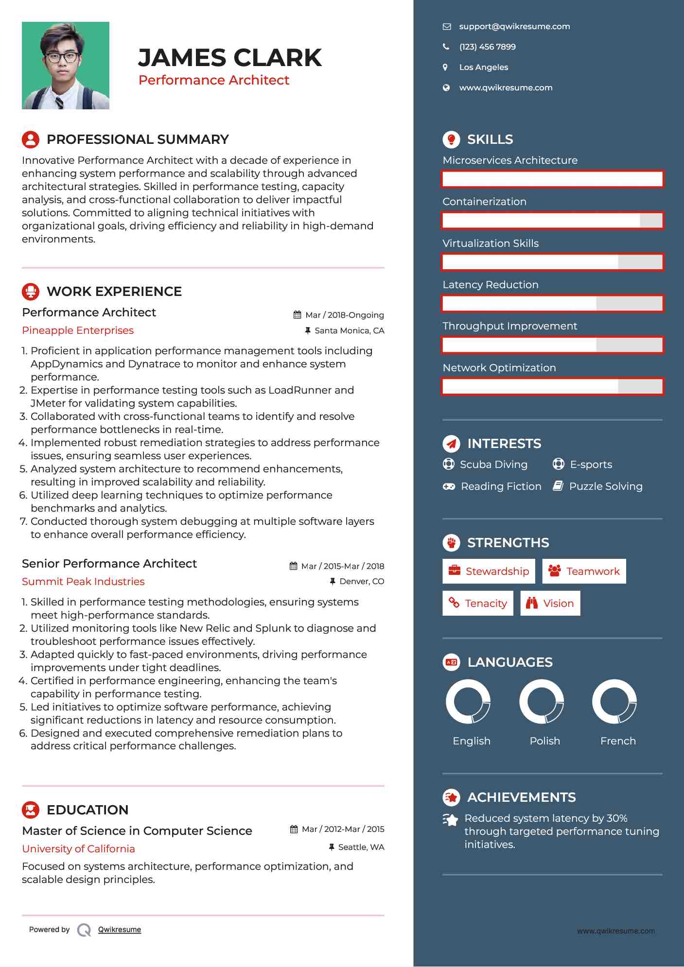 Performance Architect Resume Example