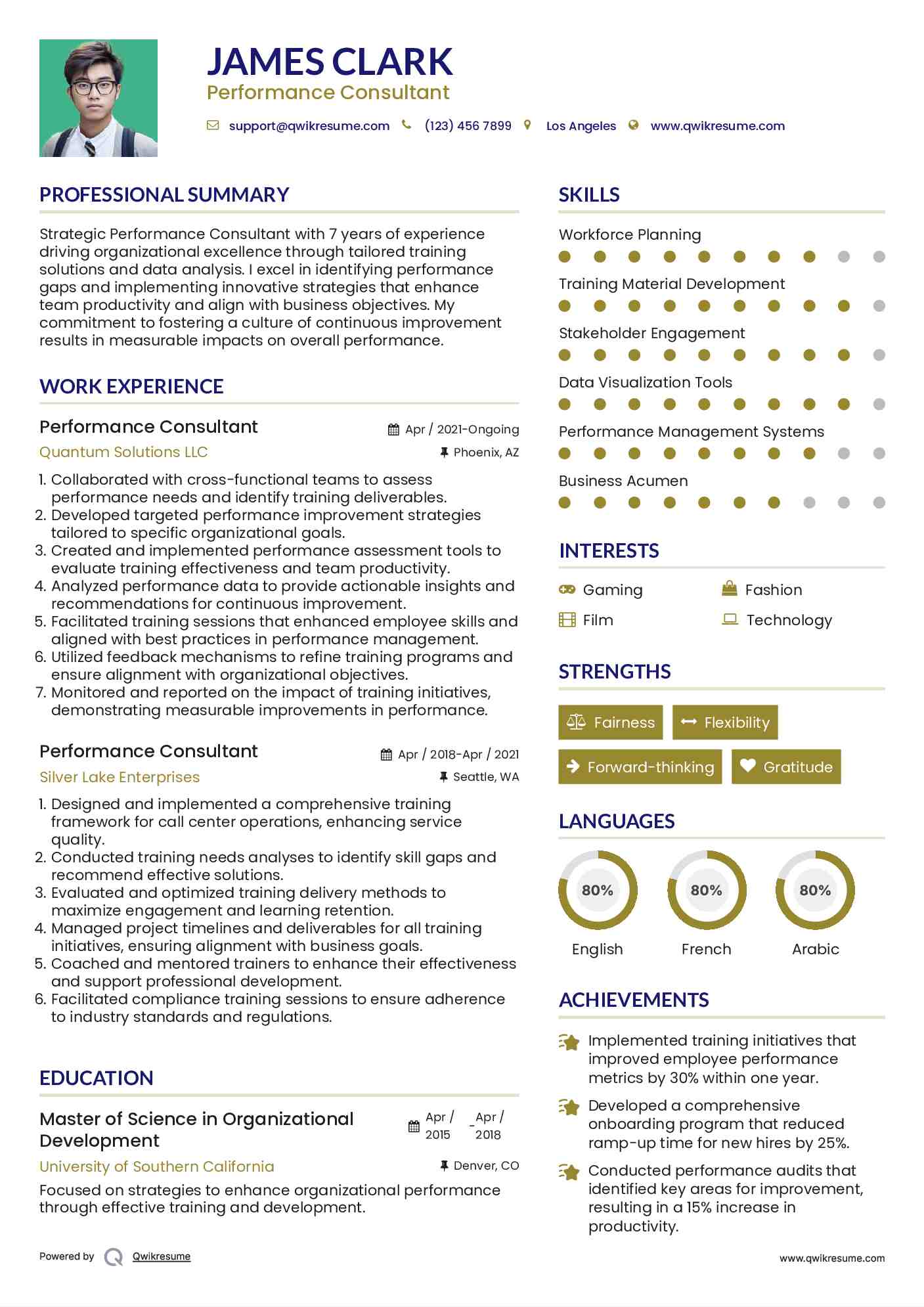 Performance Consultant Resume Example