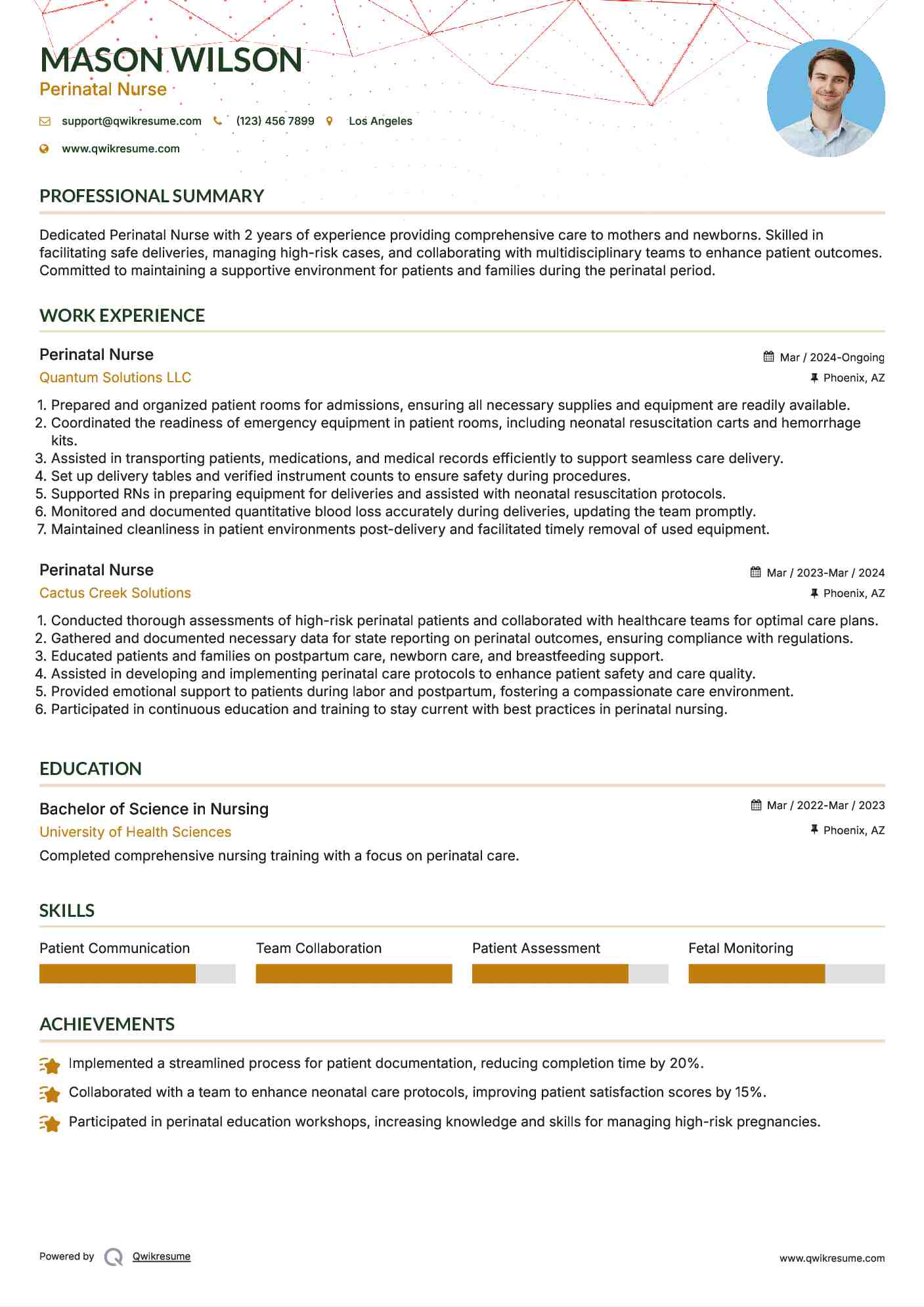 Perinatal Nurse Resume Format