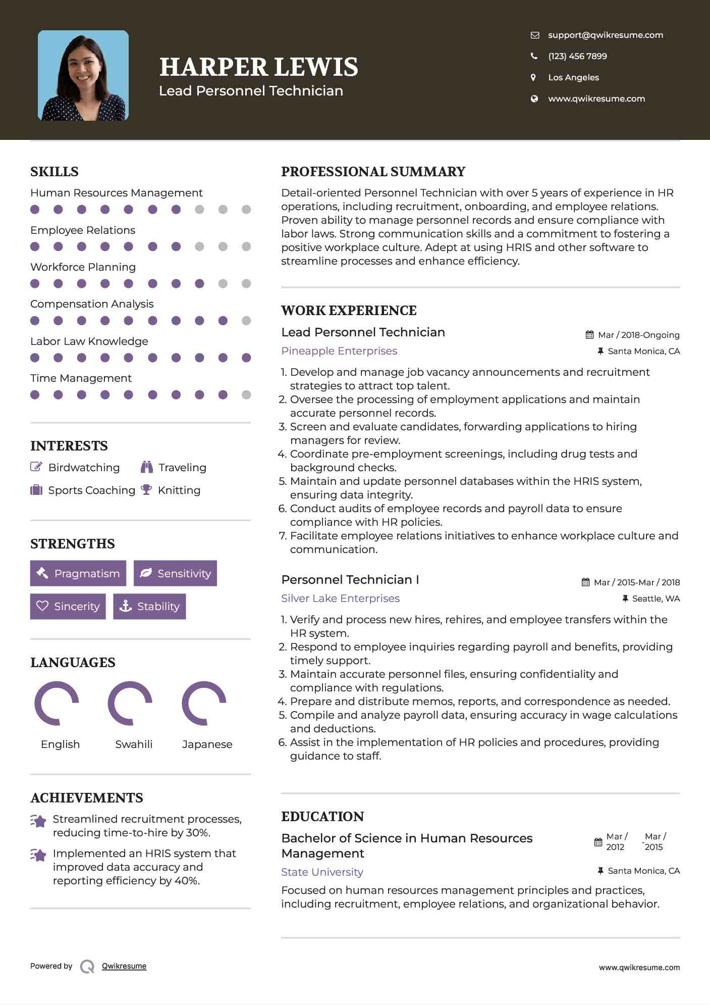 Lead Personnel Technician Resume Template