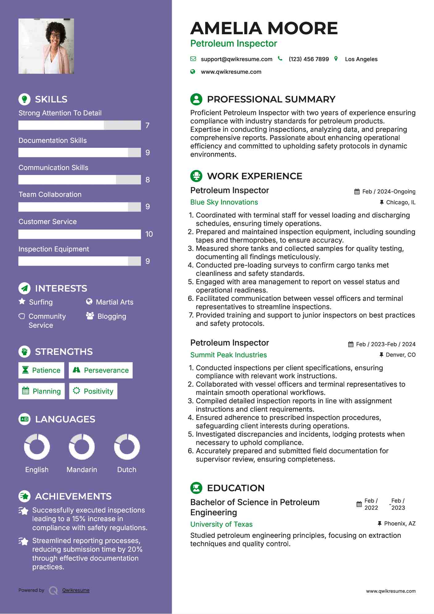 Petroleum Inspector Resume Example