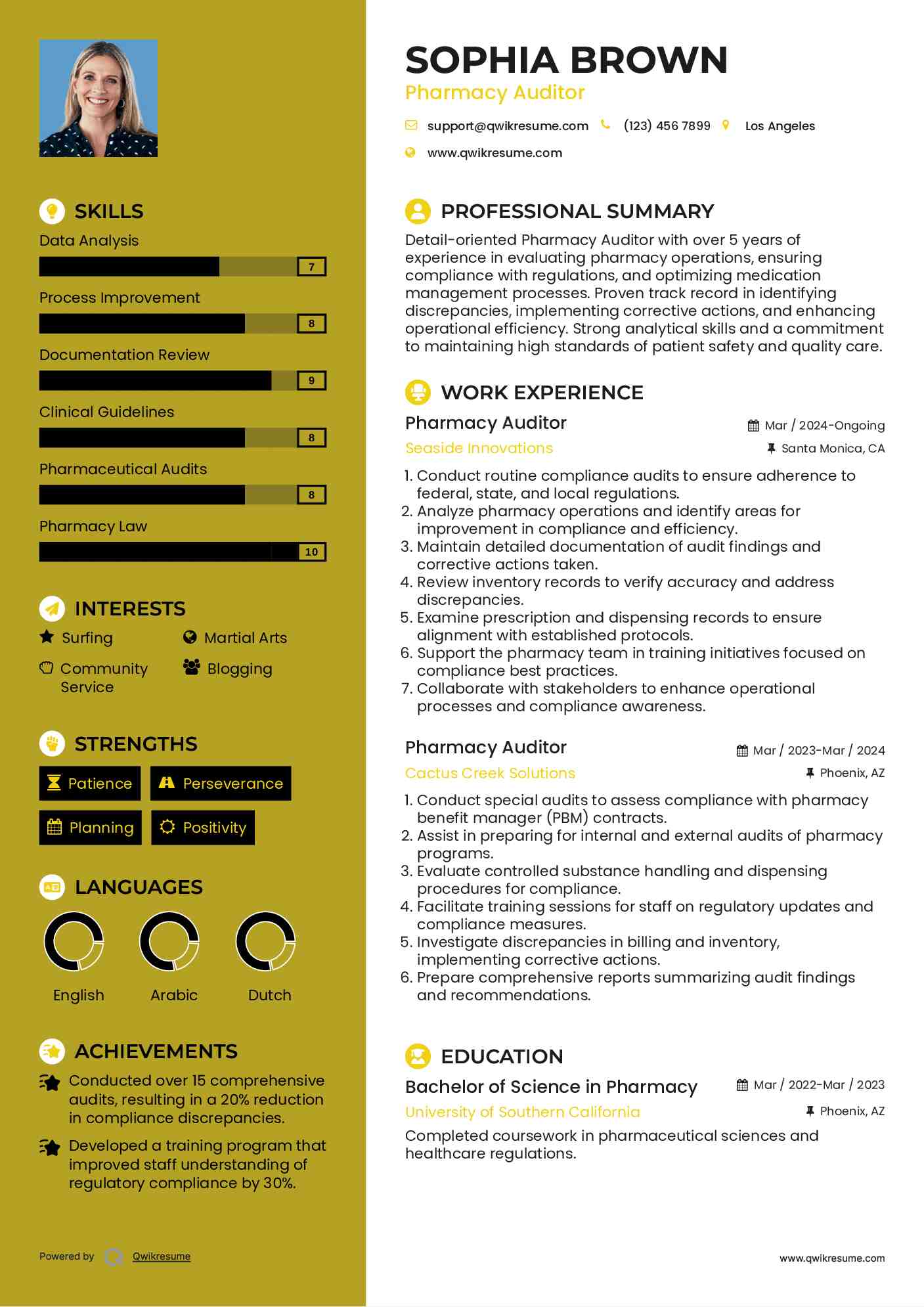 Pharmacy Auditor Resume Template