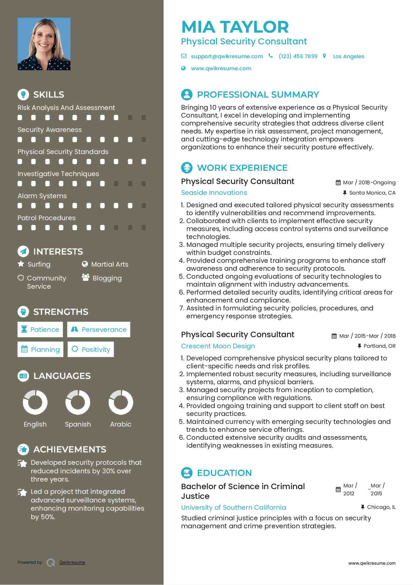 Physical Security Consultant Resume Example