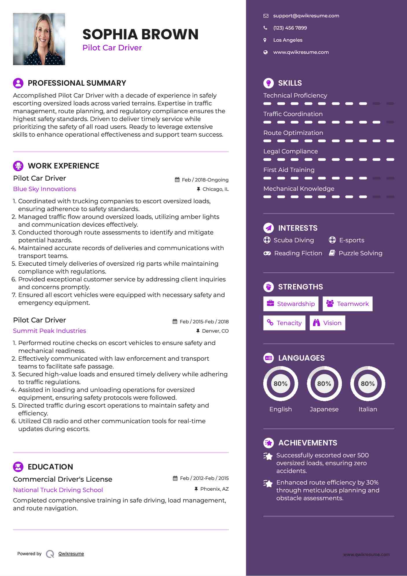 Pilot Car Driver Resume Sample