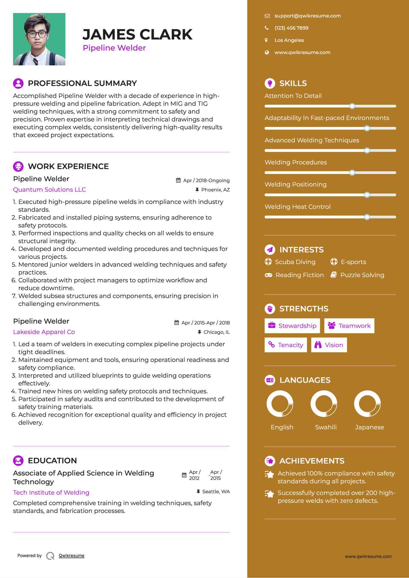 Pipeline Welder Resume Model