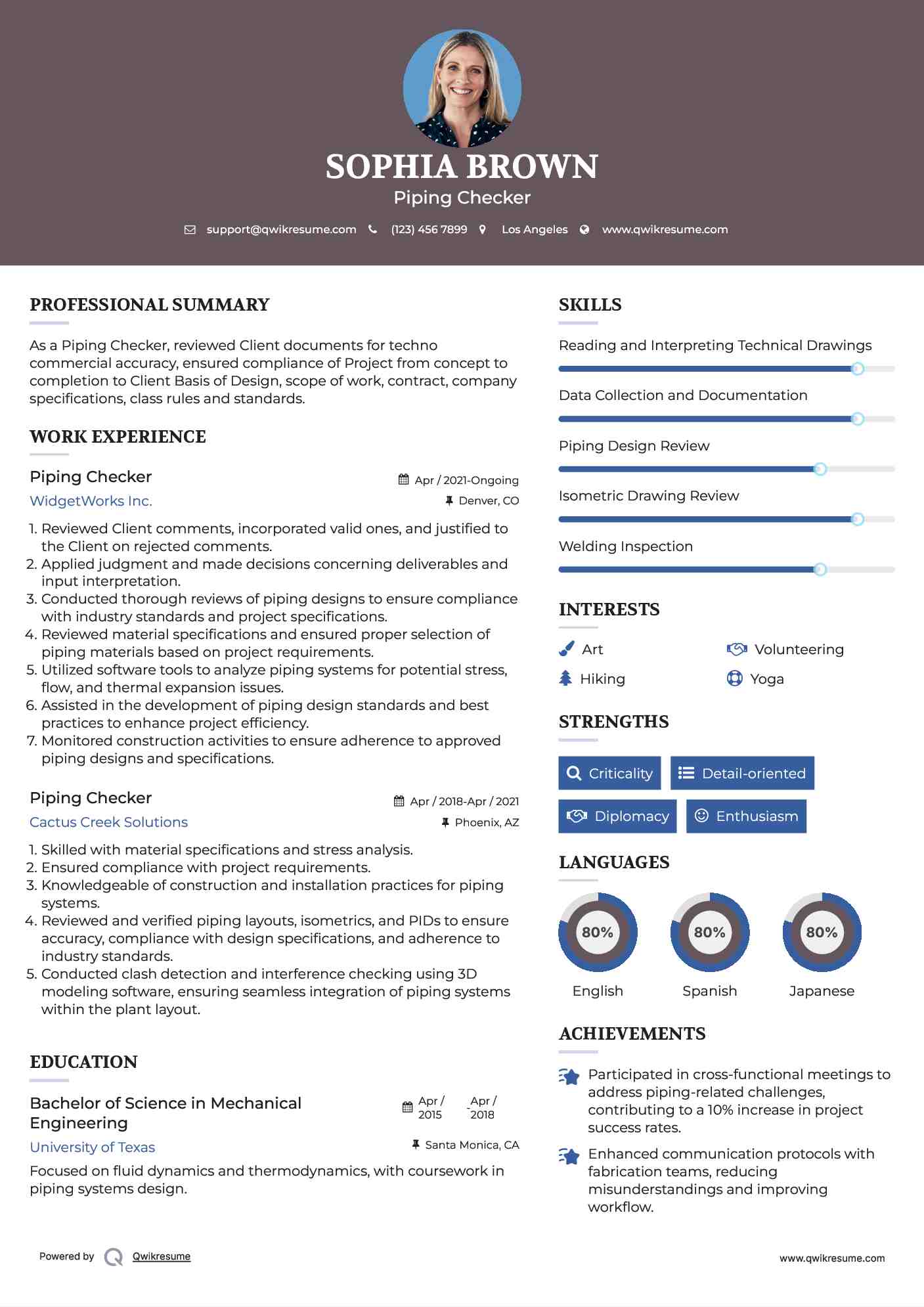 Piping Checker Resume Model