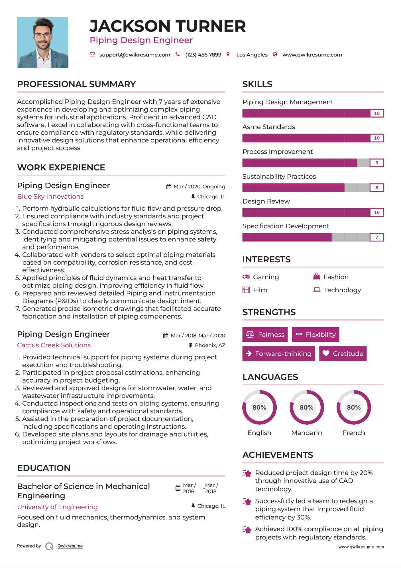 Piping Design Engineer Resume Sample