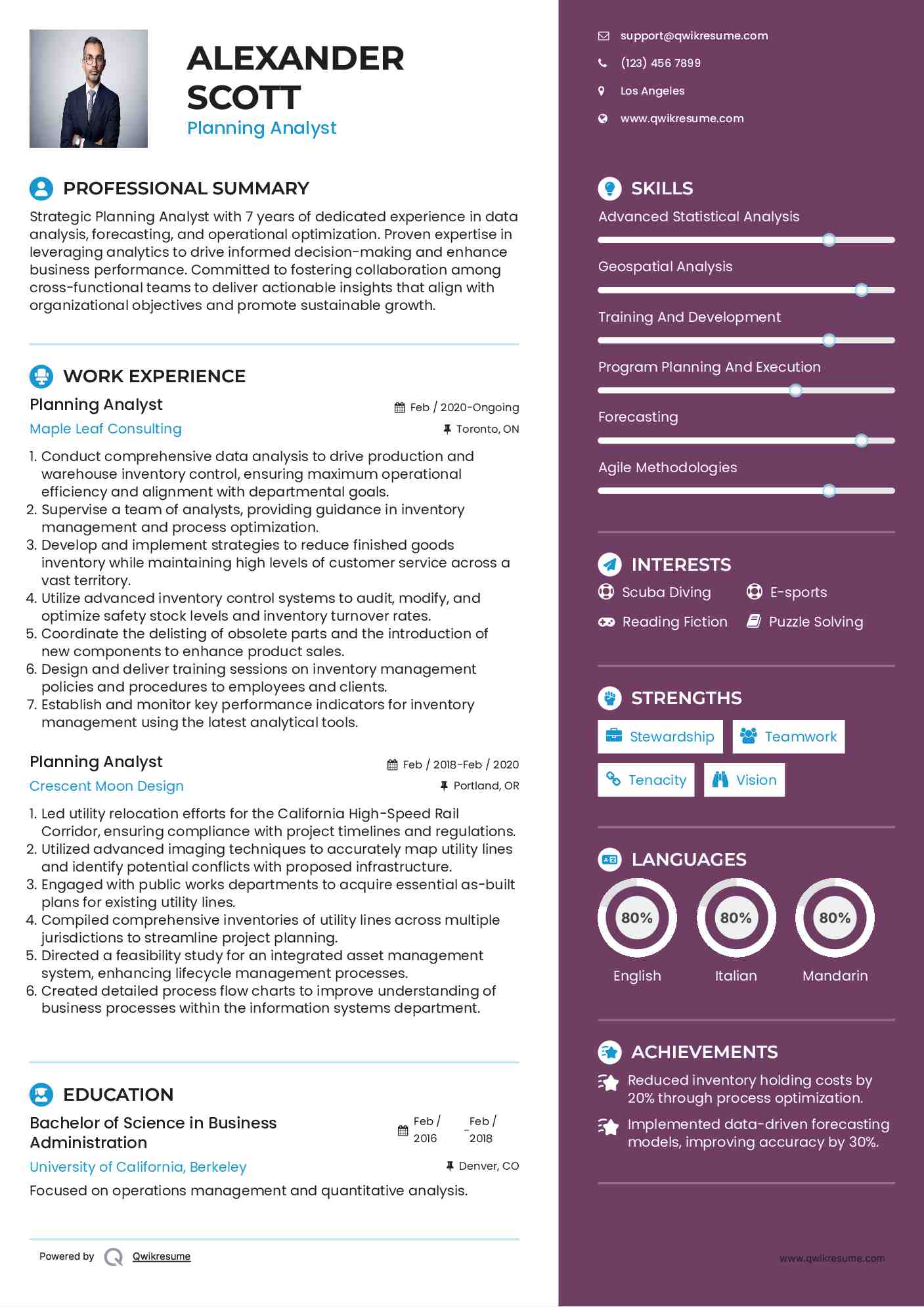 Planning Analyst Resume Example