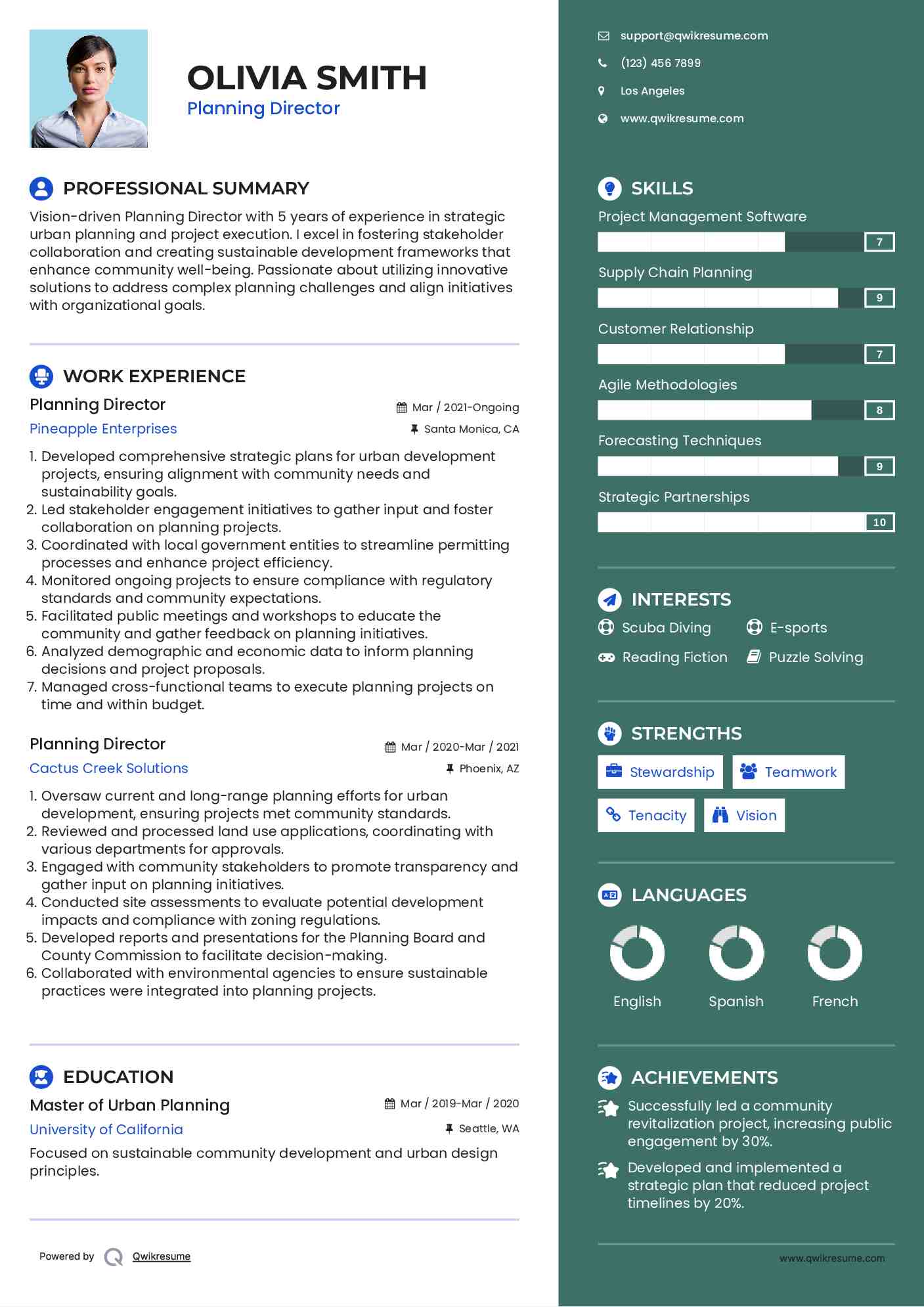 Planning Director Resume Template