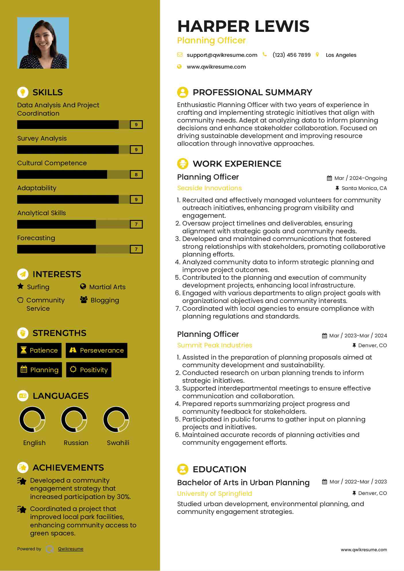 Planning Officer Resume Example