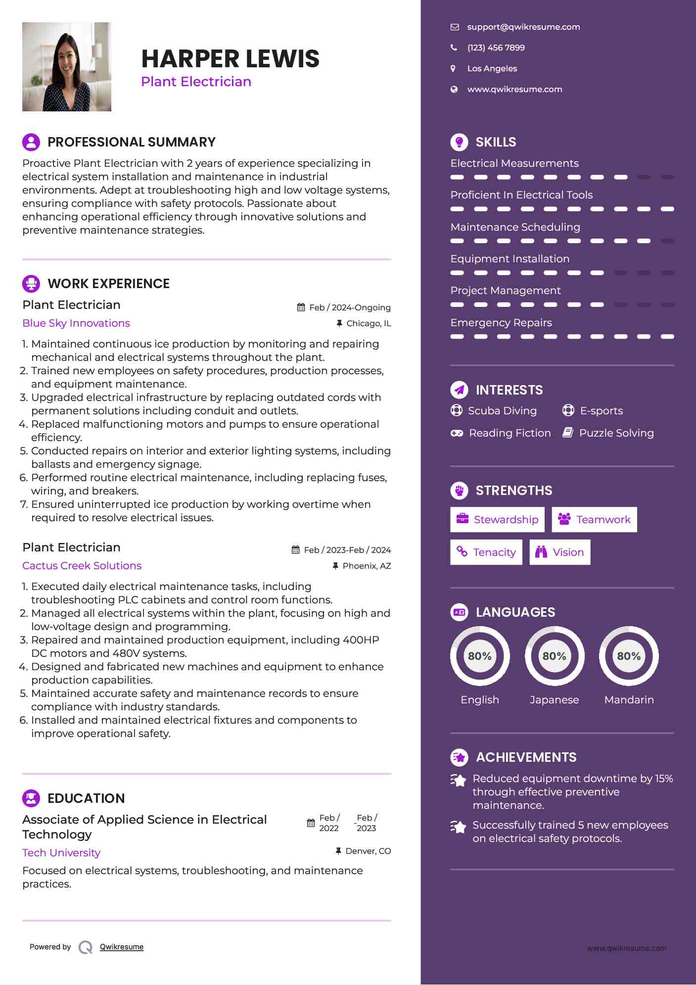 Plant Electrician Resume Example