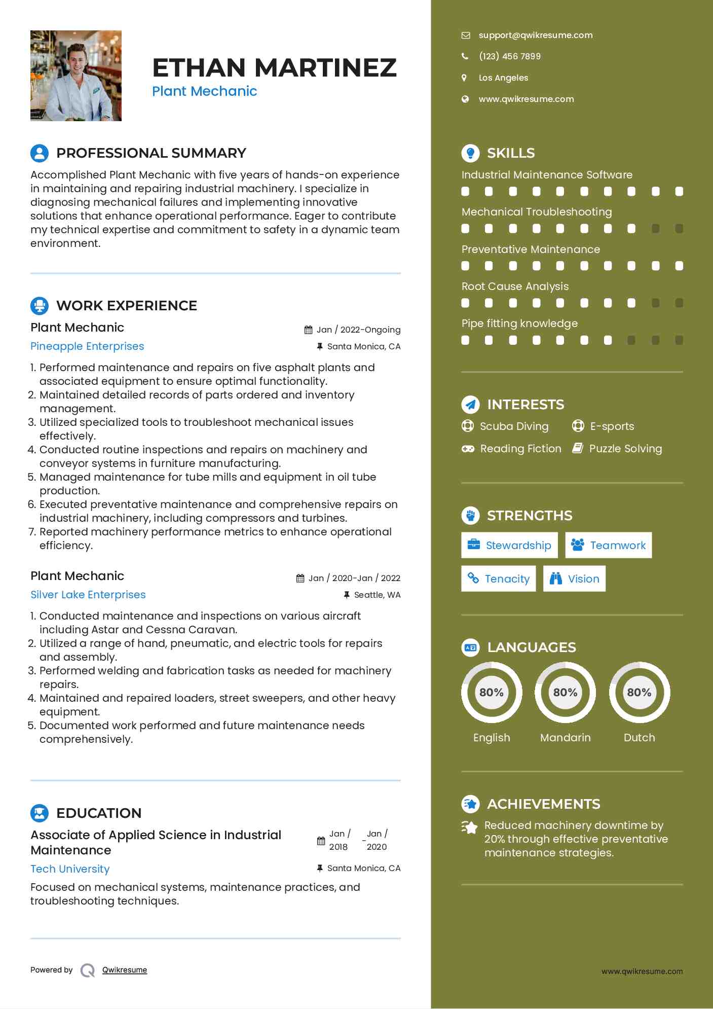 Plant Mechanic Resume Example